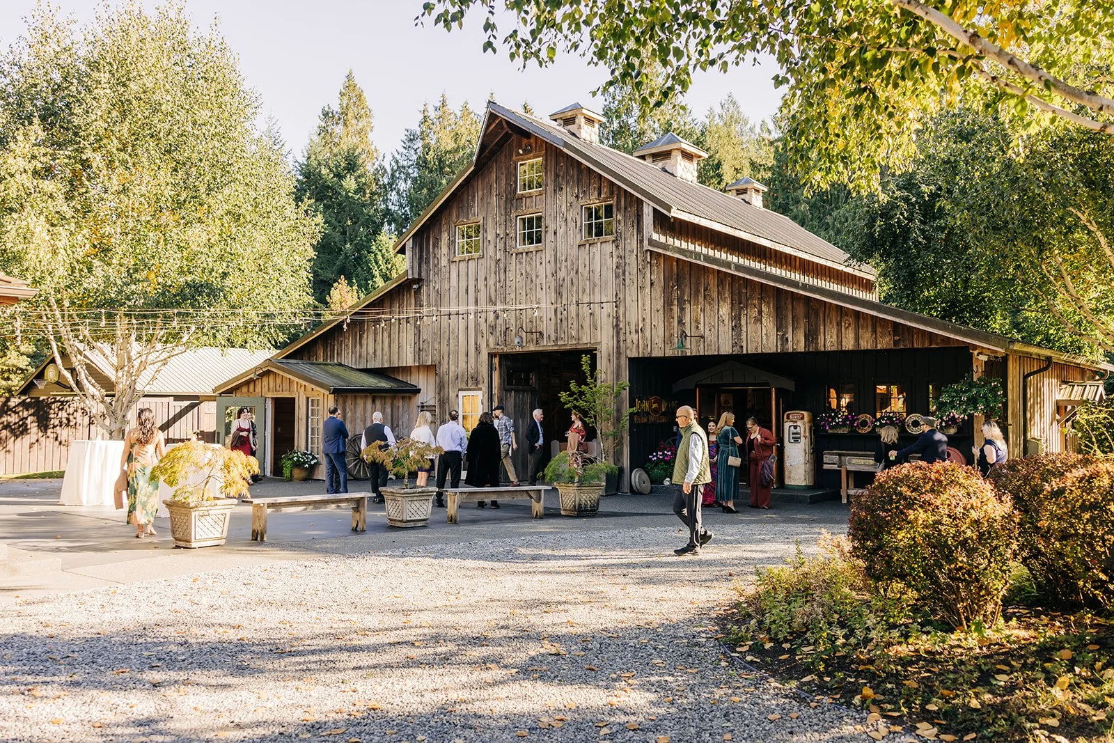 Dreamy and rustic wedding venue at the Red Cedar Farm, WA.