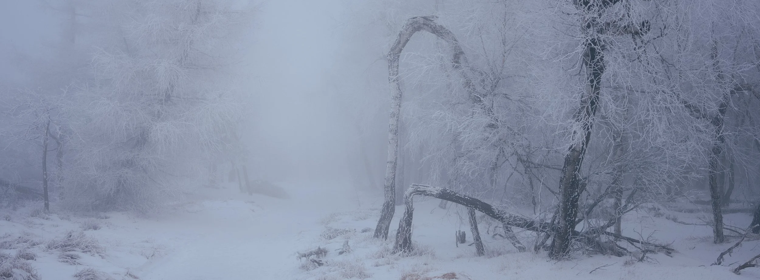 X-Pan formát - Co to je?