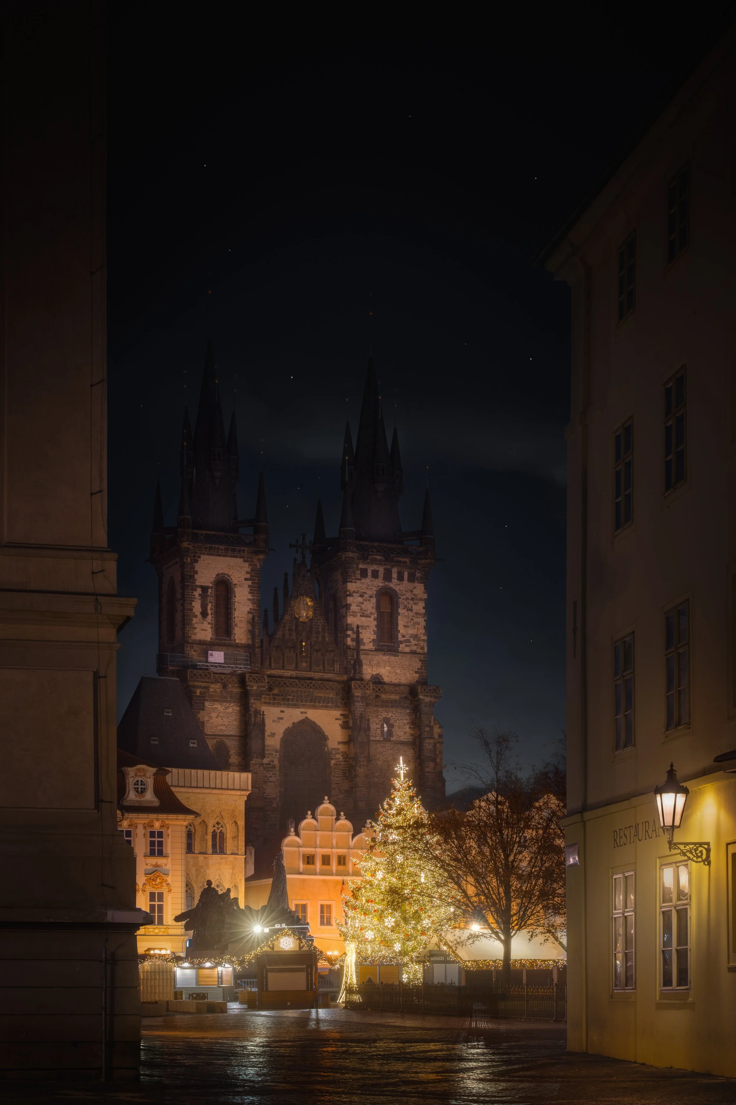 DSC01519-2.jpg