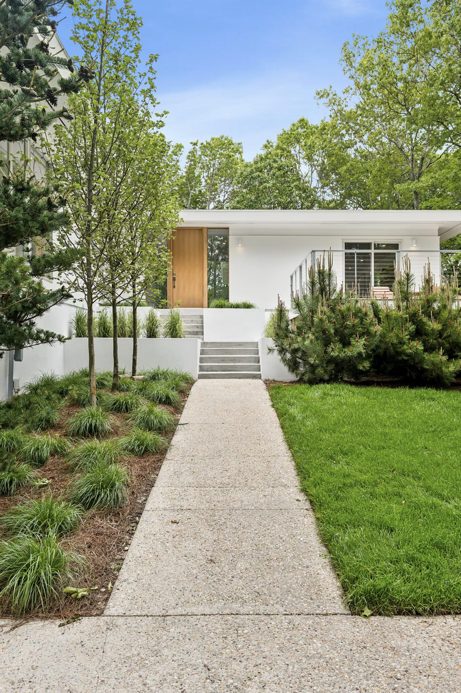 Contemporary residential exterior with clean-lined façade, landscaped entry path, and natural wood front door set within greenery