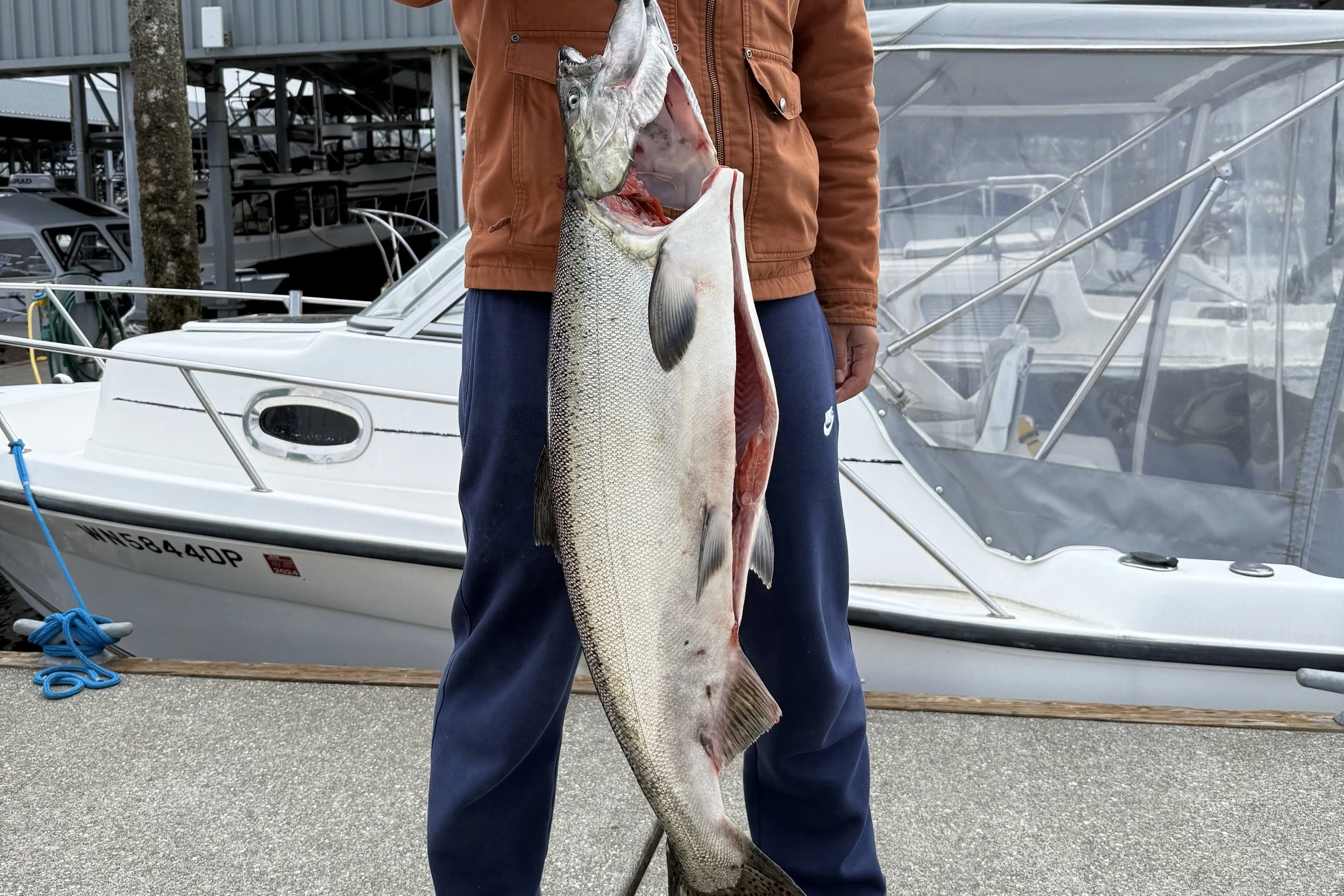 Seattle-Area King Salmon Season Heating Up | Mid-Summer Fishing Report