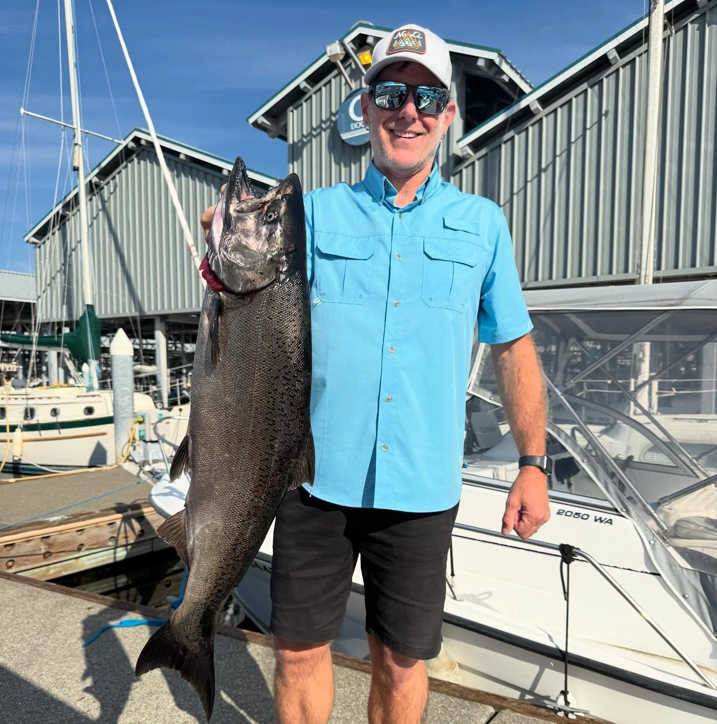 What a finale! Afternoon trip ended with a blast, capping off an amazing first king season for Tengu charters! Cheers! 

 #fishing #washingtonstatefishing #saltlife #herring #chinook #chinooksalmon #gradywhite #yearone #mooching #gloomis #simms #simm