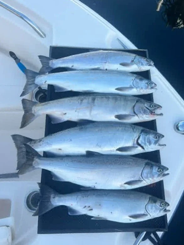 We got limits early and with some good fights! We have shorter trips available to book! 

Thank you for the pictures @perkiell000 and choosing Tengu Charters!

#TenguCharters #CohosGoneWild #FreezerFillers 
 #fishing #washingtonstatefishing #saltlife
