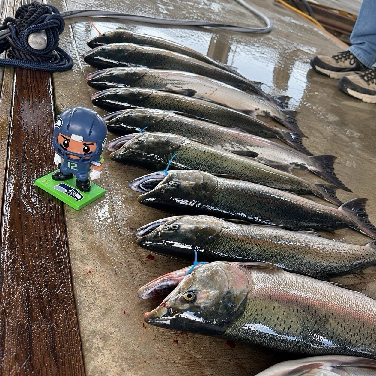 12s bringing home the catch! 💙💚

#seahawks #12thman #explore #fishingcharter #fishingguide