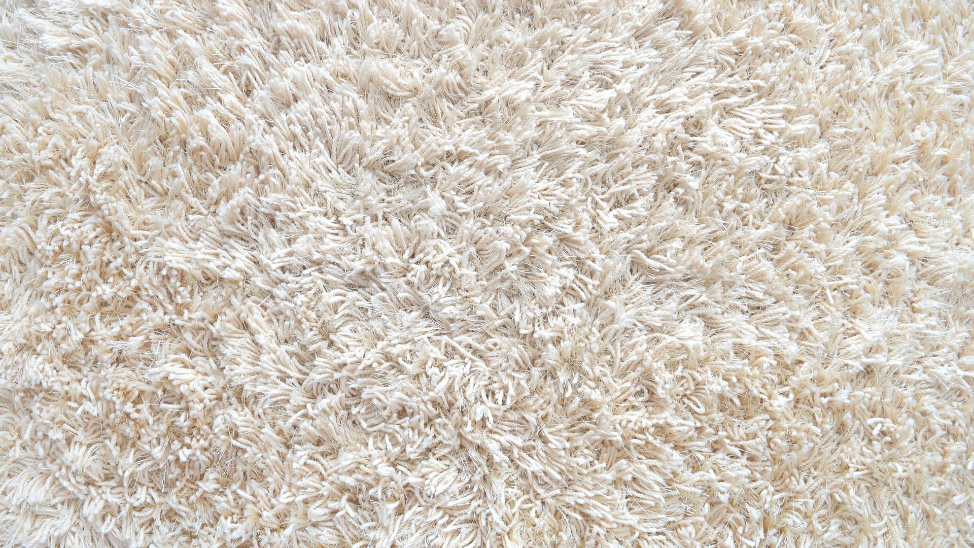Carpet.png