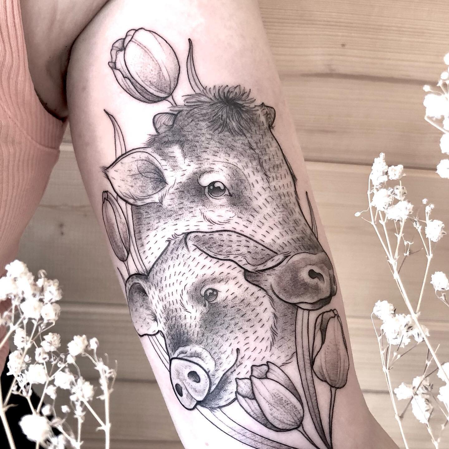 Danke @tini_bambini_x3 
#cutepigs #cutecows #animaltattoos #armtattoos #blackandgraytattoos #blx #tattoodetails #vegantattoo #vegantattooartist #vegantattoostudio #germantattooartist #tattoouckermark 

#herrfuchsimgr&uuml;nen #herrfuchsimgruenen