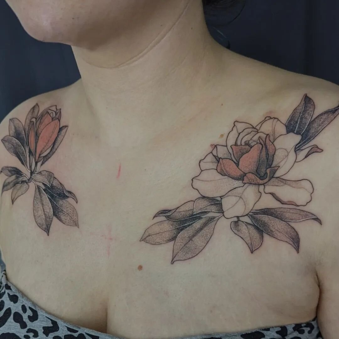 Artist: @seraredwood
&bull; Books Open &bull;

___________________
#magnolia #magnoliatattoo #flowertattoo #chesttattoo #floraltattoo #neotrad #colourtattoo #neotradsub #neotraditionaltattoo #witchtattoo #tattooinspo #tattooinspiration #vgnink #vegan