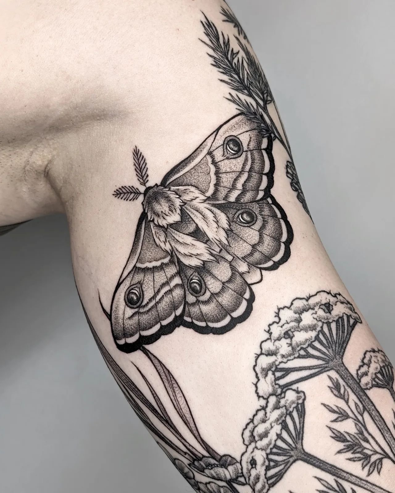 Moth 🦋

I am simply in love with how this turned out. More moths please ✨

For appointments: 
DM or e.swan.art@outlook.com 

#moth #mothtattoo #tattoo #berlintattoo #art #artist #tattooartist #motte #mottetattoo