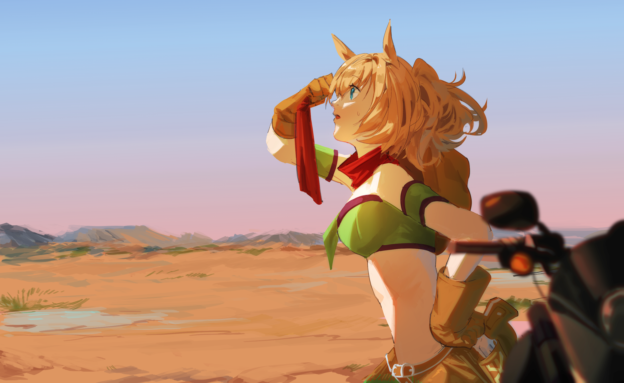 taiki shuttle desert.png