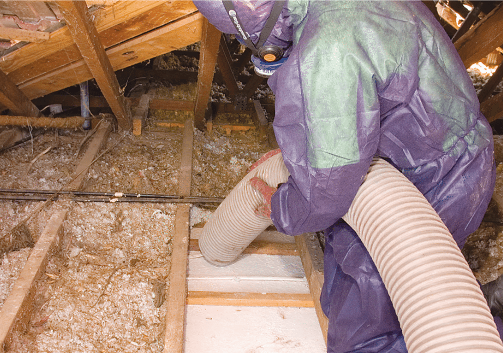 Insulation Removal