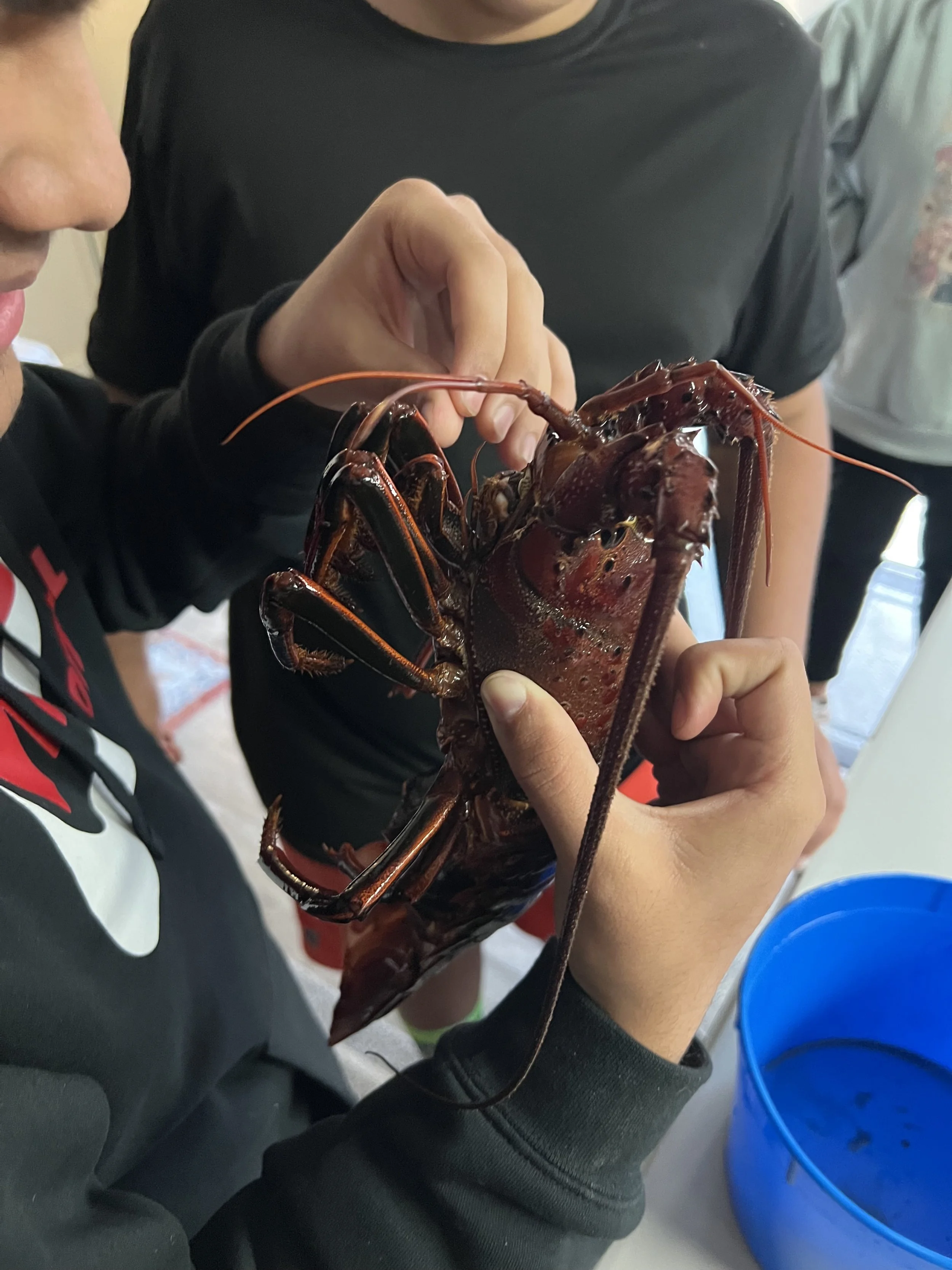 Straight from the docks to the kitchen