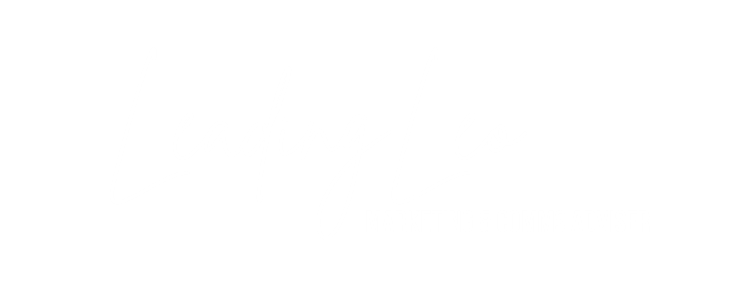Leading Leo Business Consulting