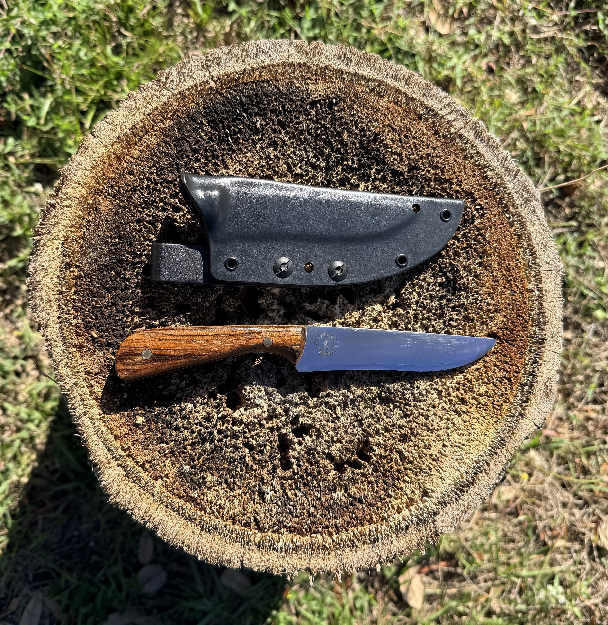 Stainless Steel General Purpose Knife with Kydex Sheath