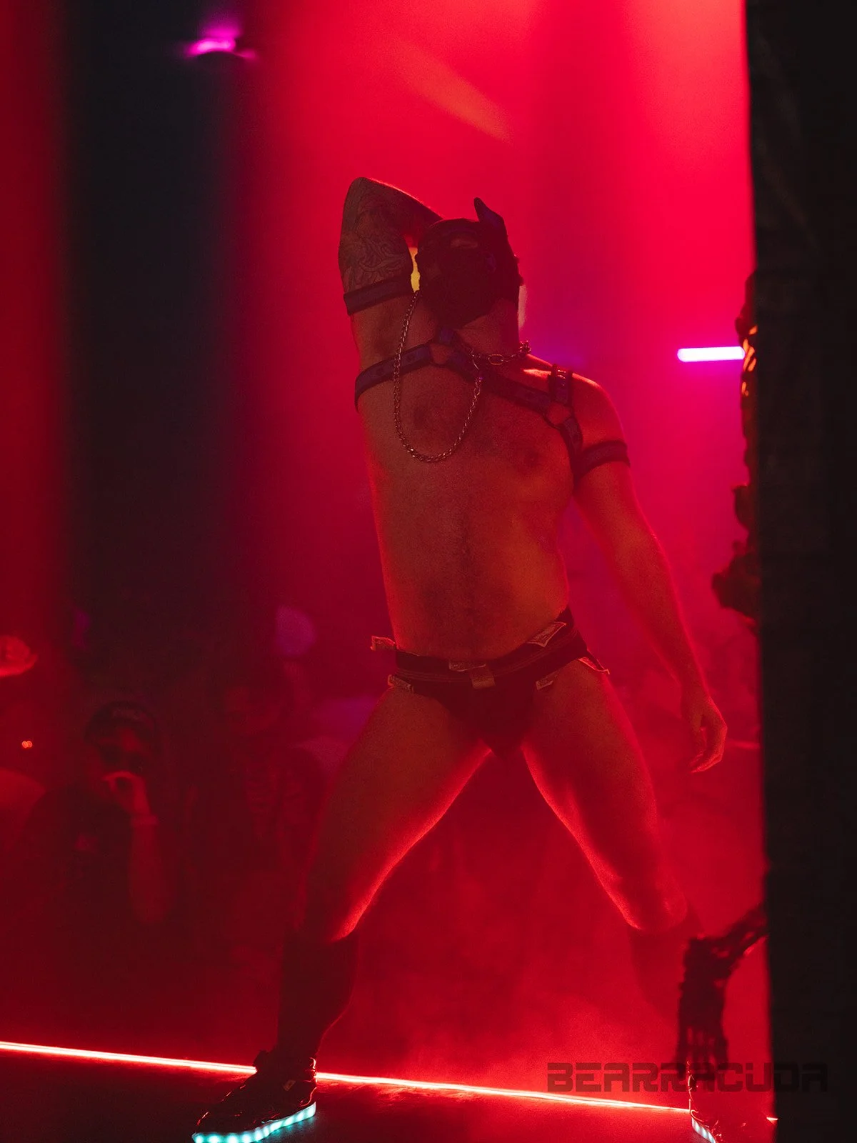 Bearracuda 10-11-195_websize.jpg