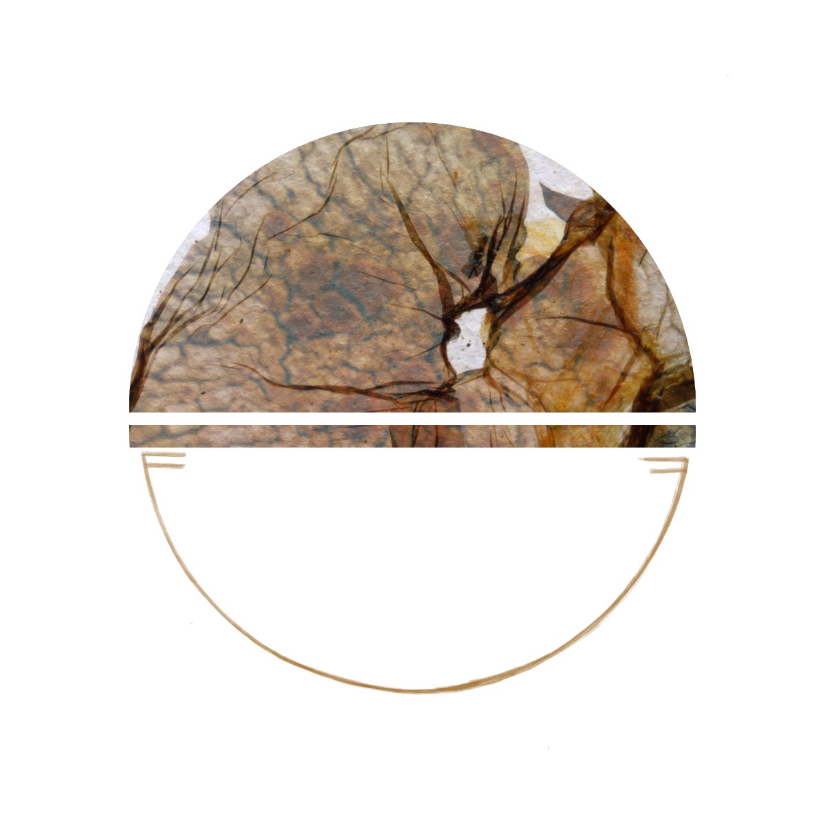 lichen17.jpg