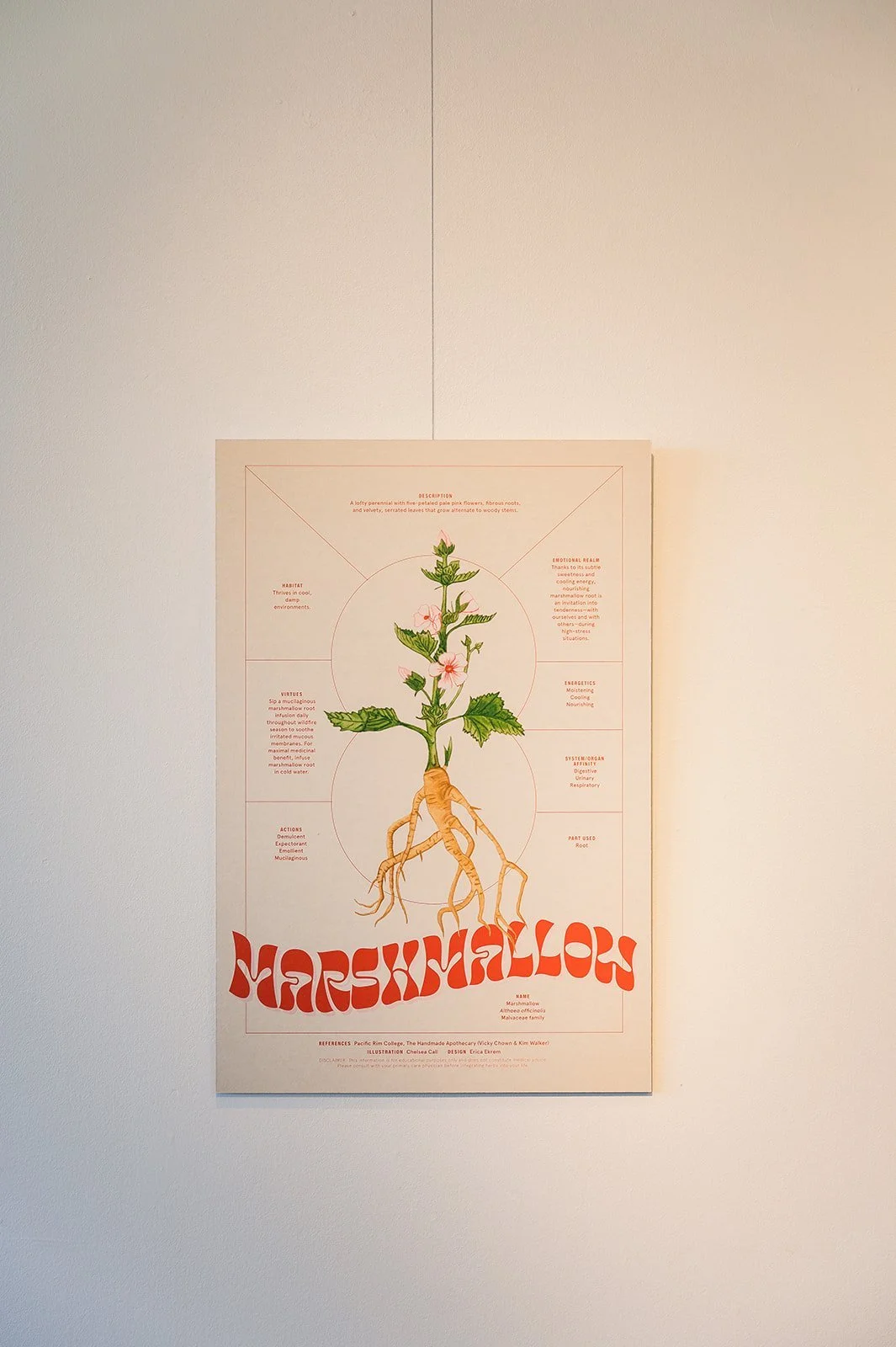 image-asset (1).jpeg