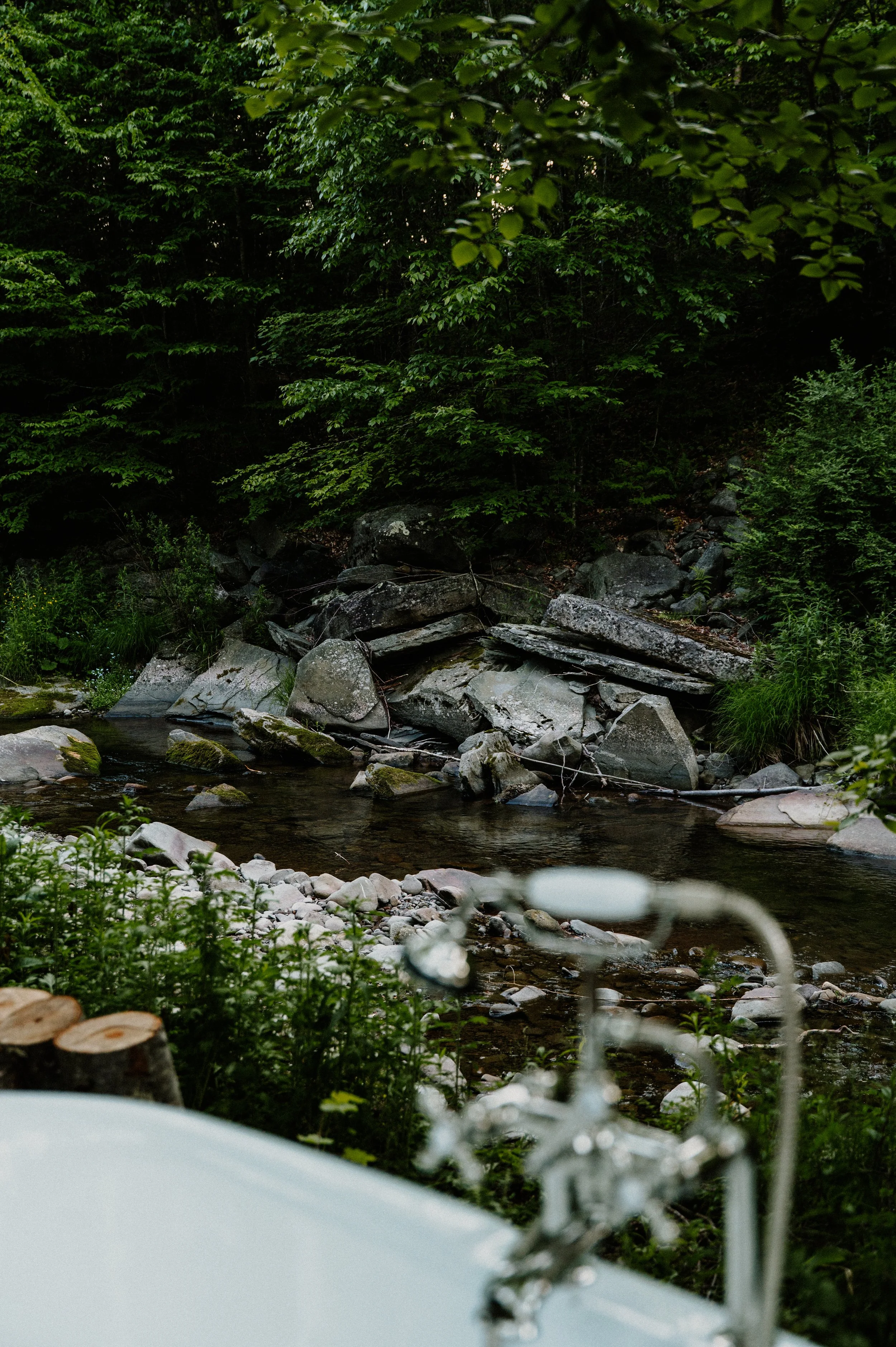 DSC_5995.jpg