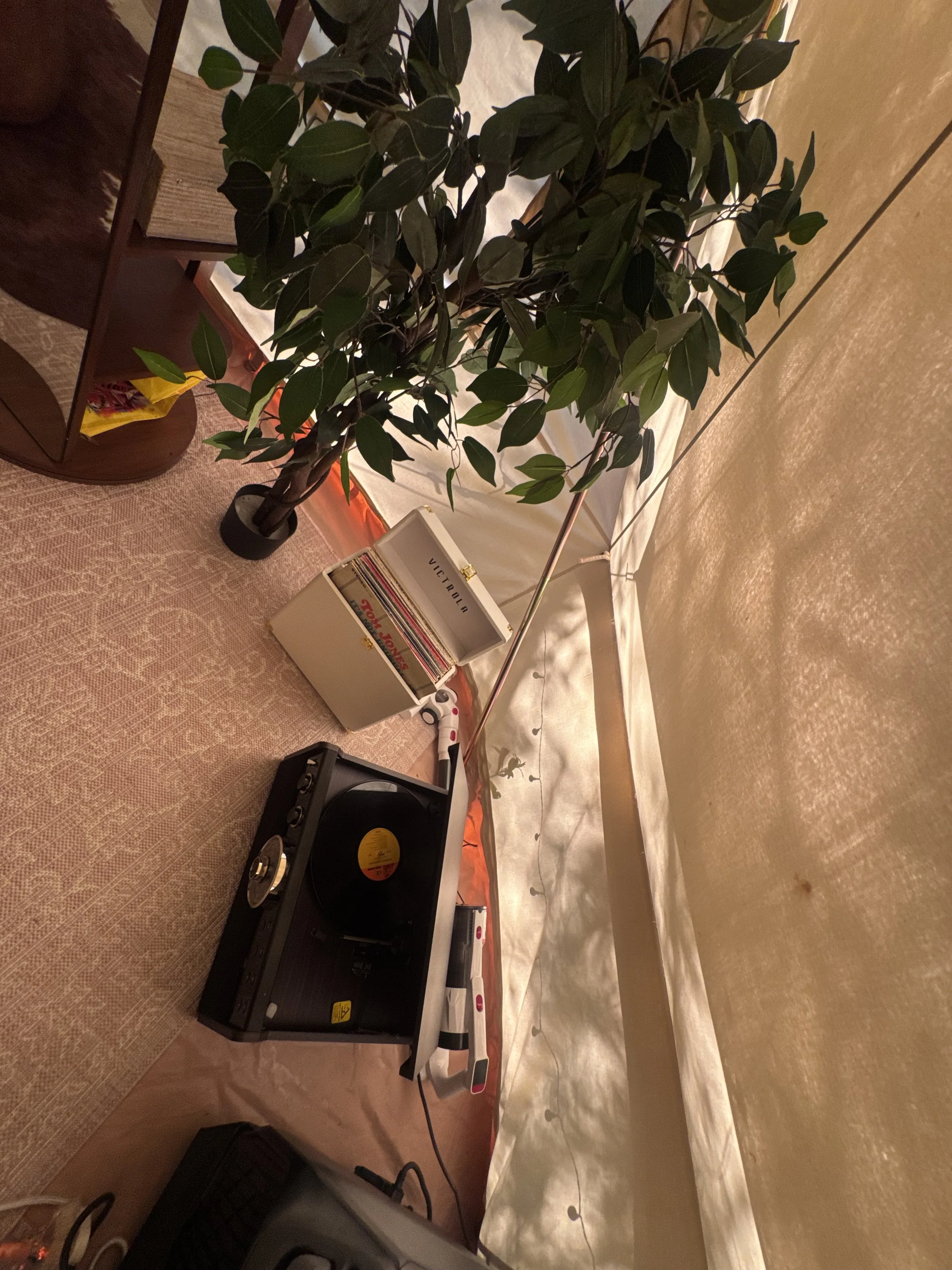 IMG_7911.jpeg