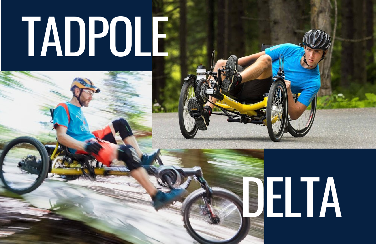 Delta and Tadpole recumbent trikes: how to choose?