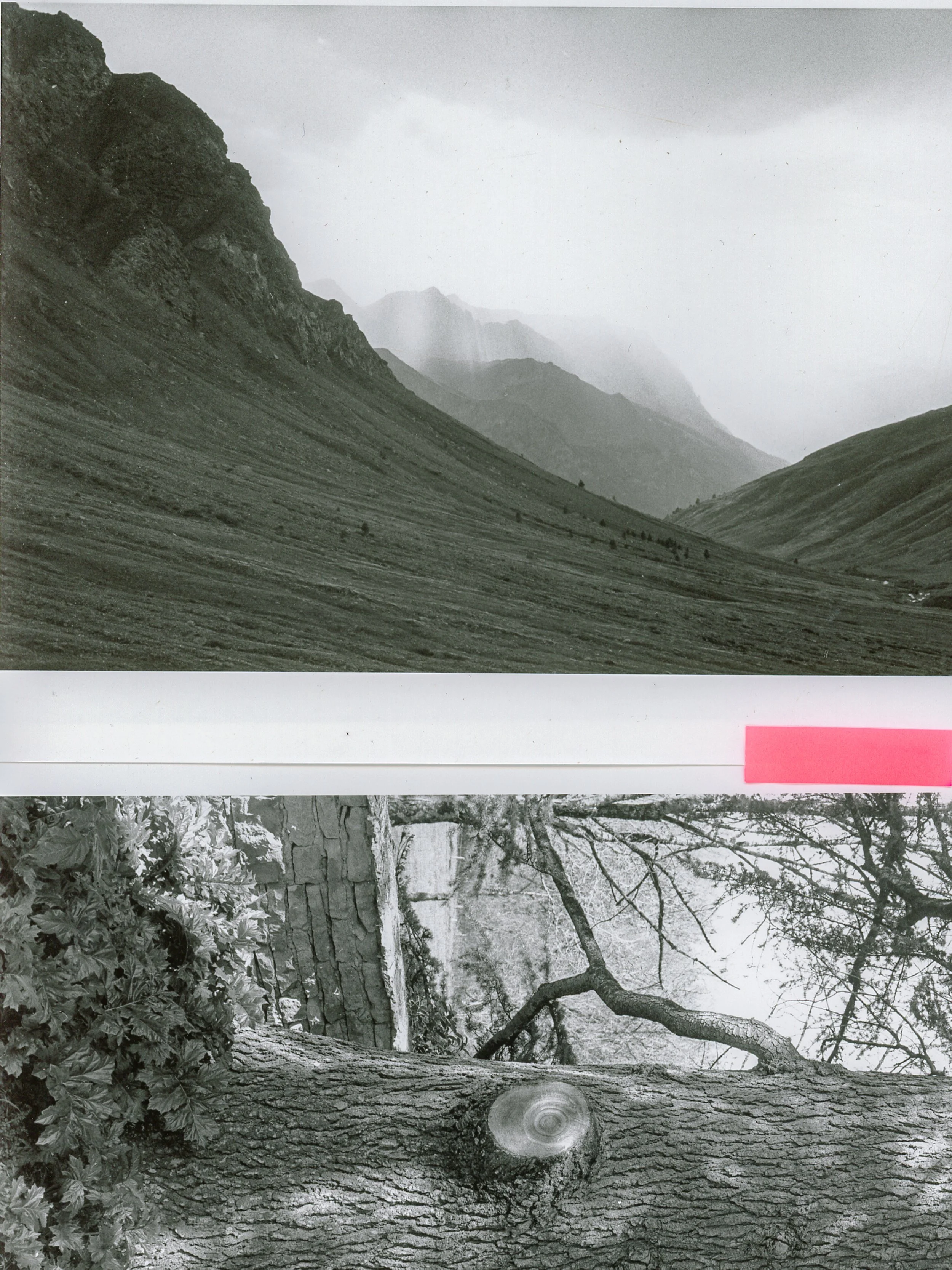 portfolio liminale-10.jpg