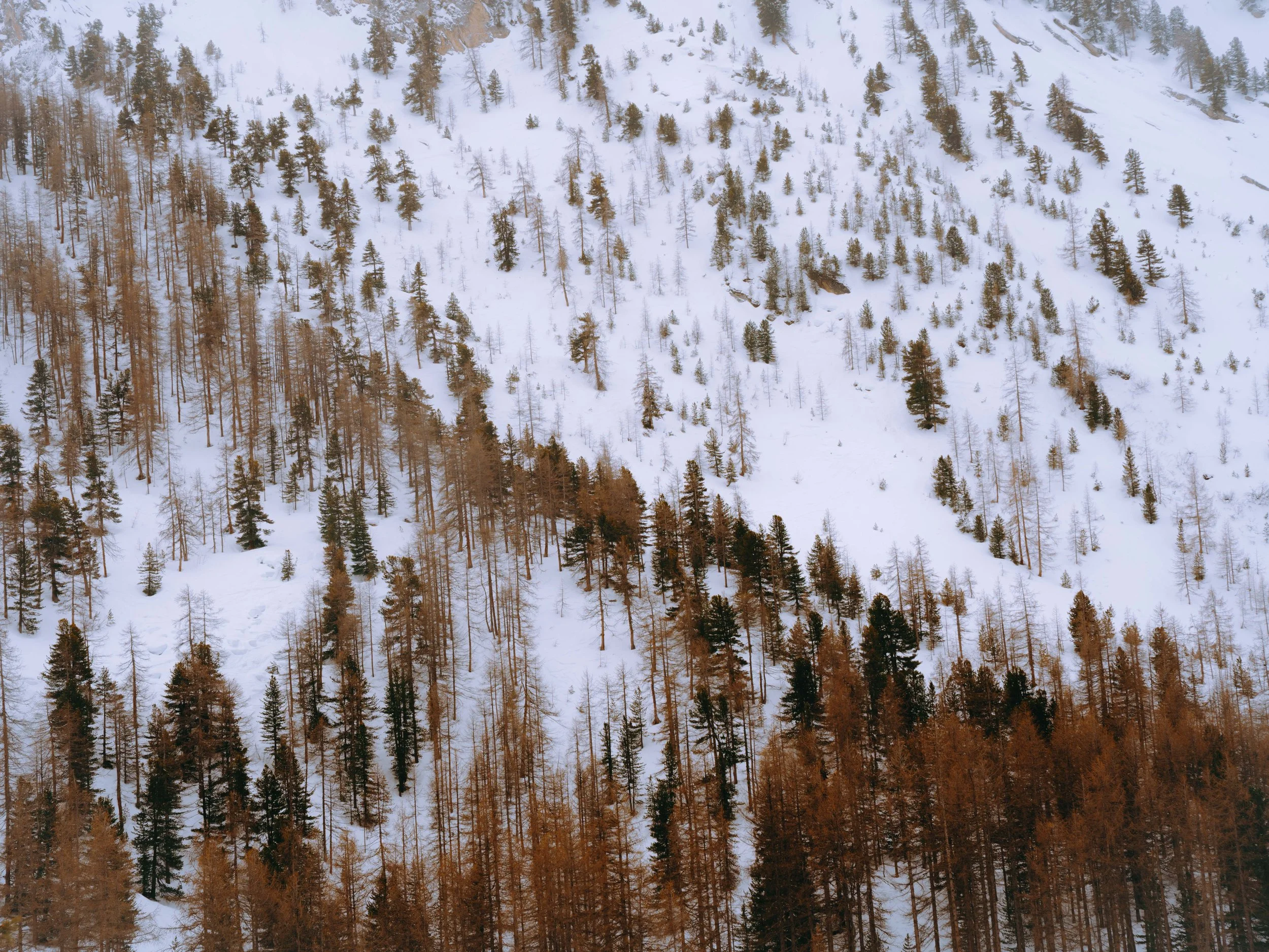 portfolio liminale-4.jpg