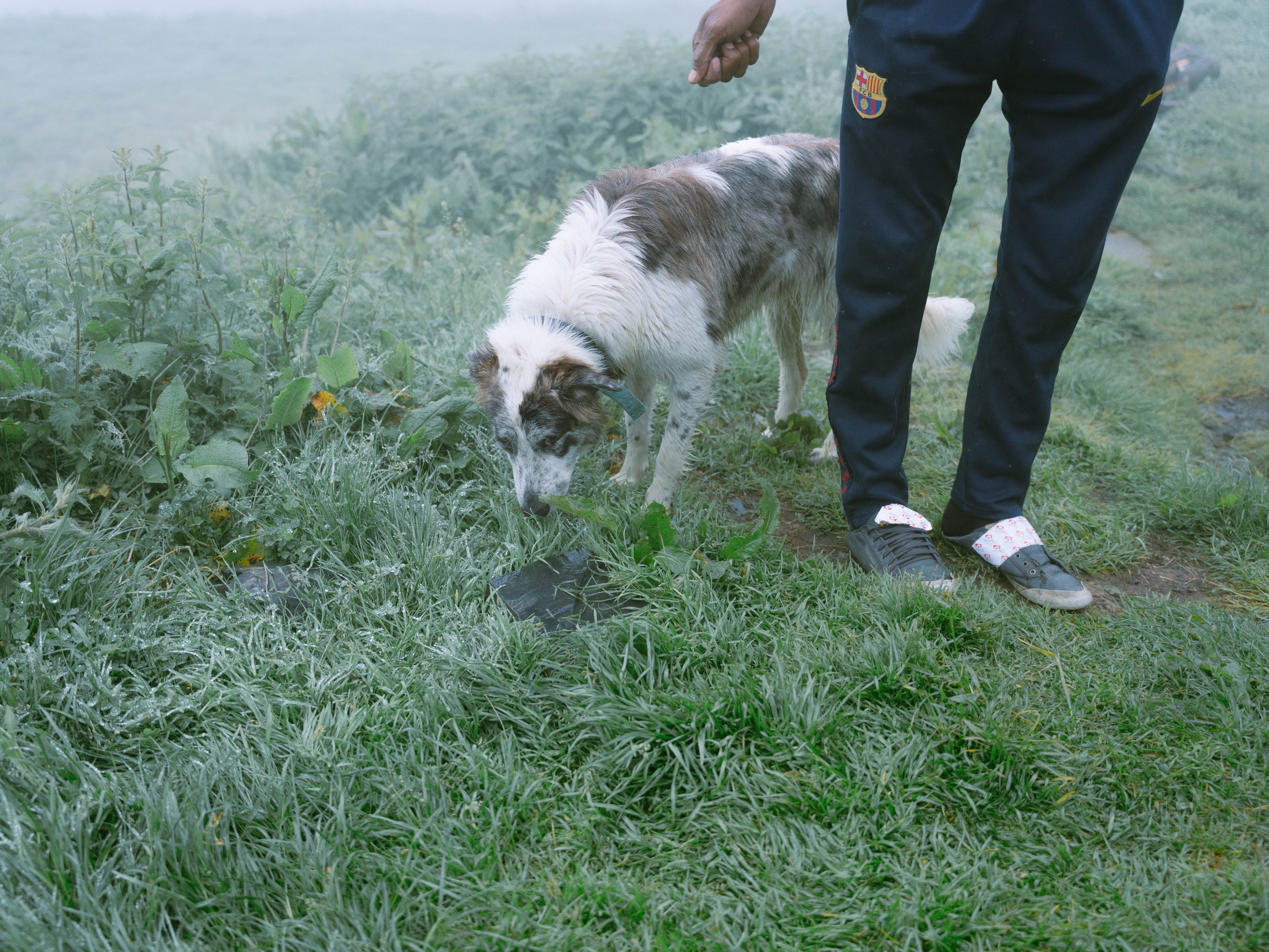 portfolio liminale-2.jpg