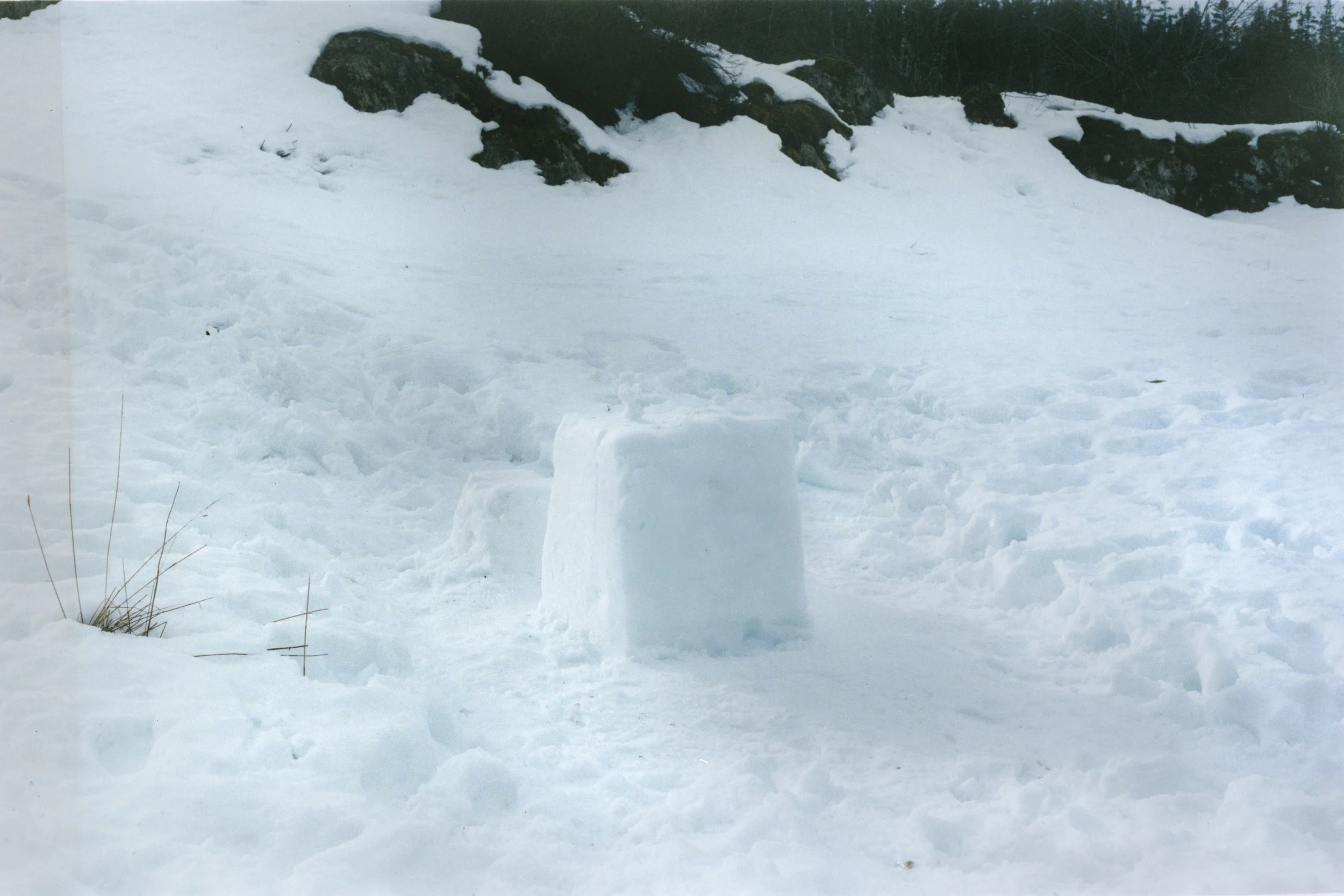 portfolio liminale-18.jpg