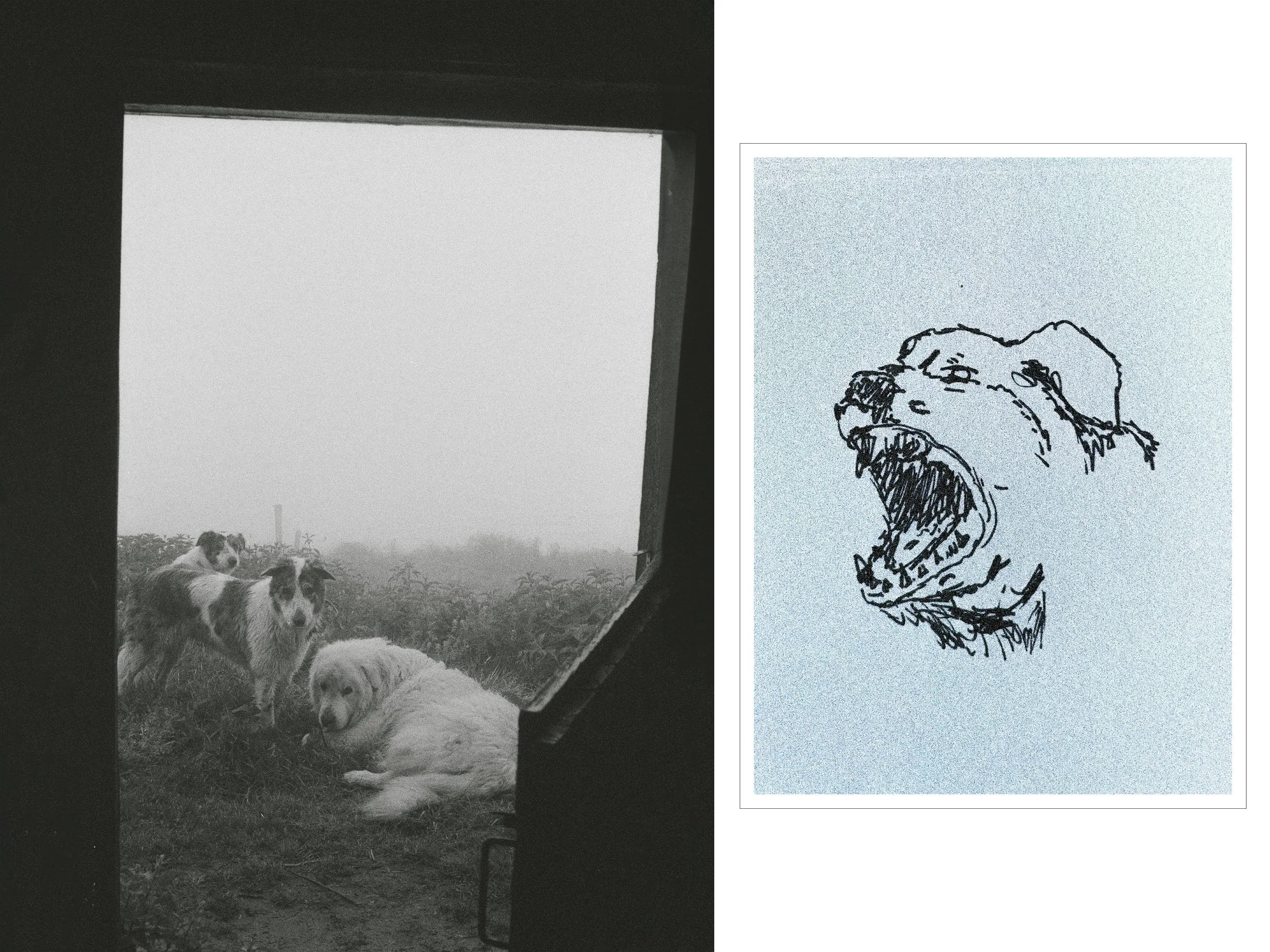 portfolio liminale-8.jpg