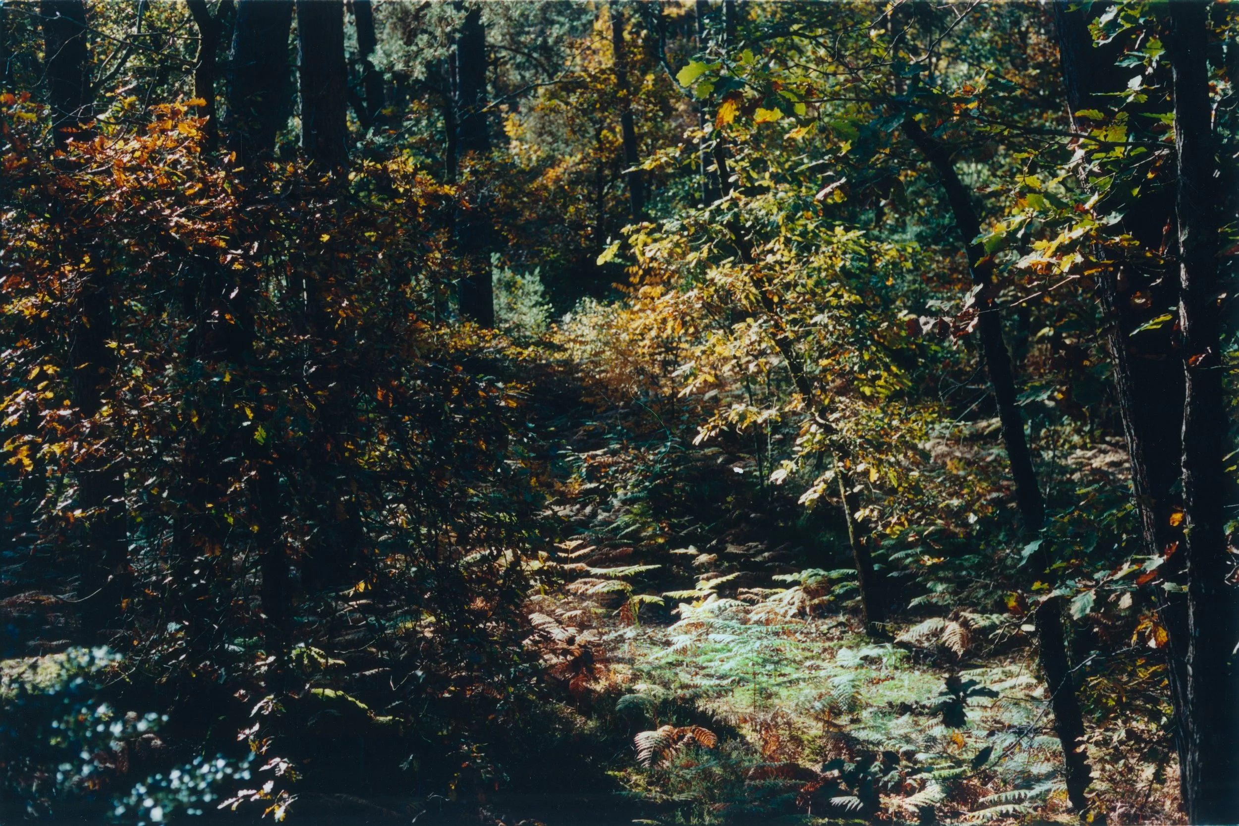 NARRATION-6.jpg