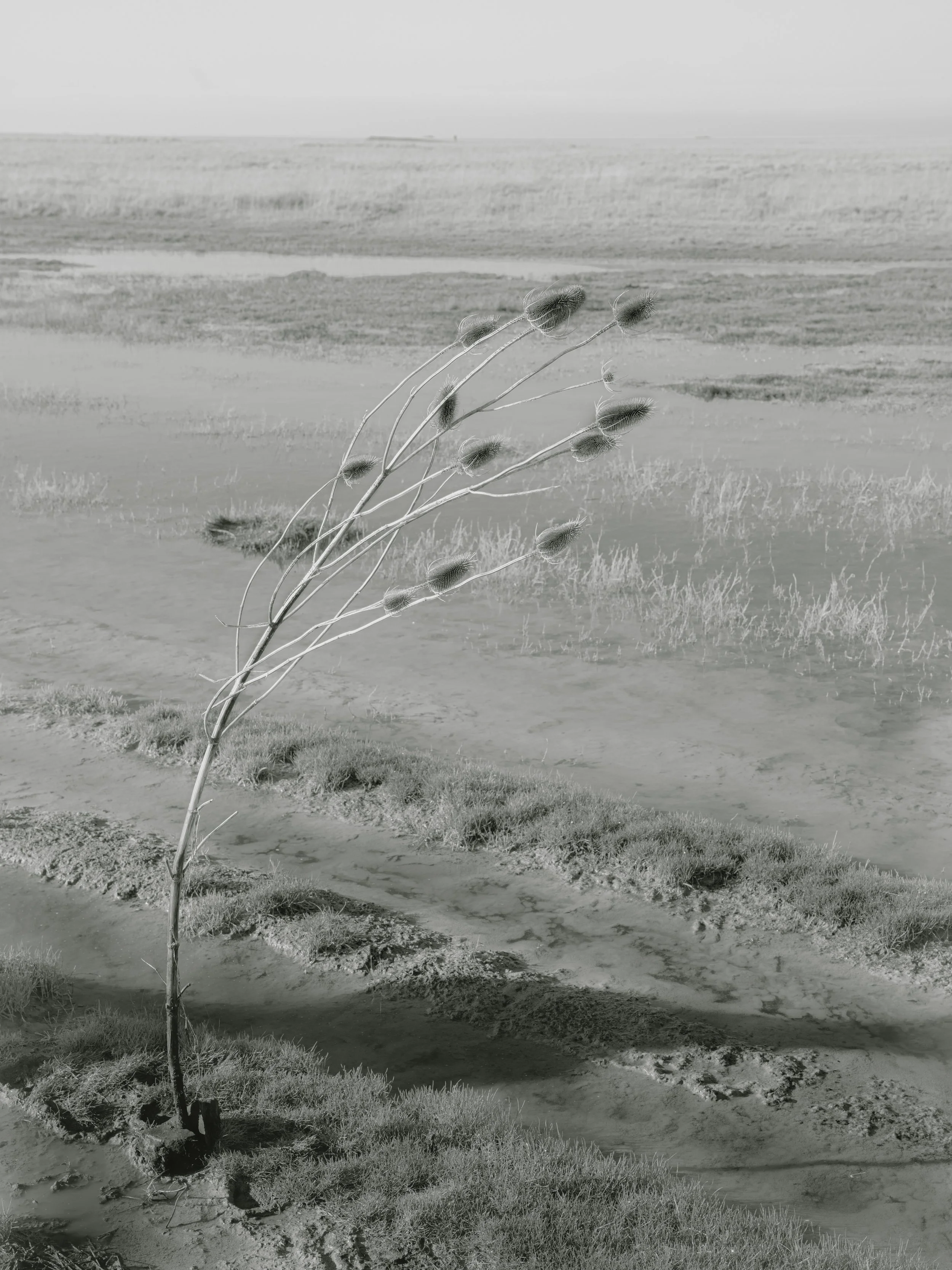 portfolio liminale-3.jpg