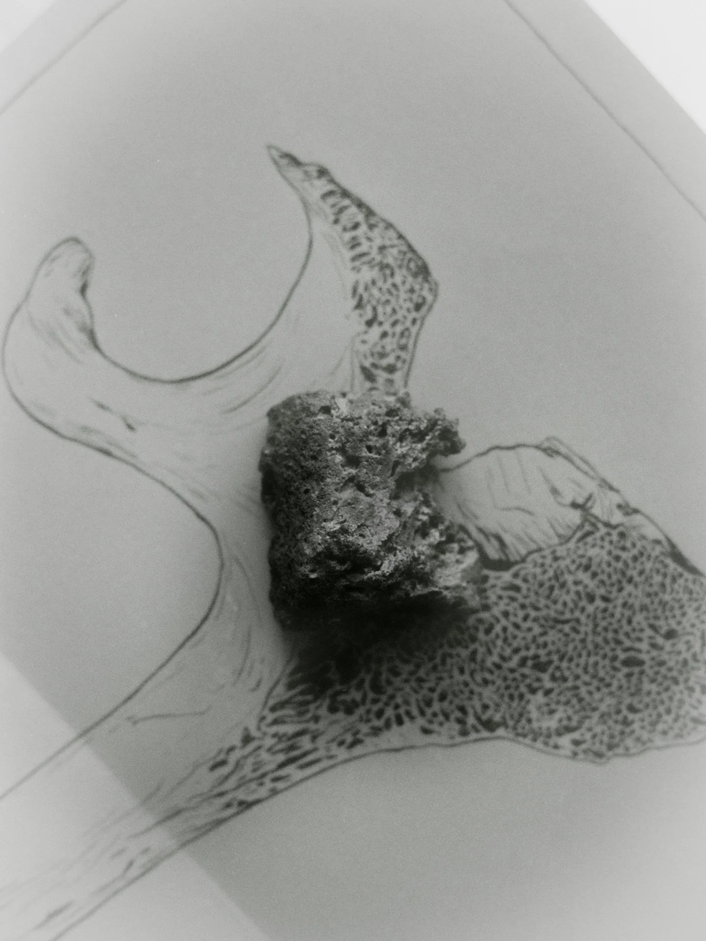 portfolio liminale-16.jpg