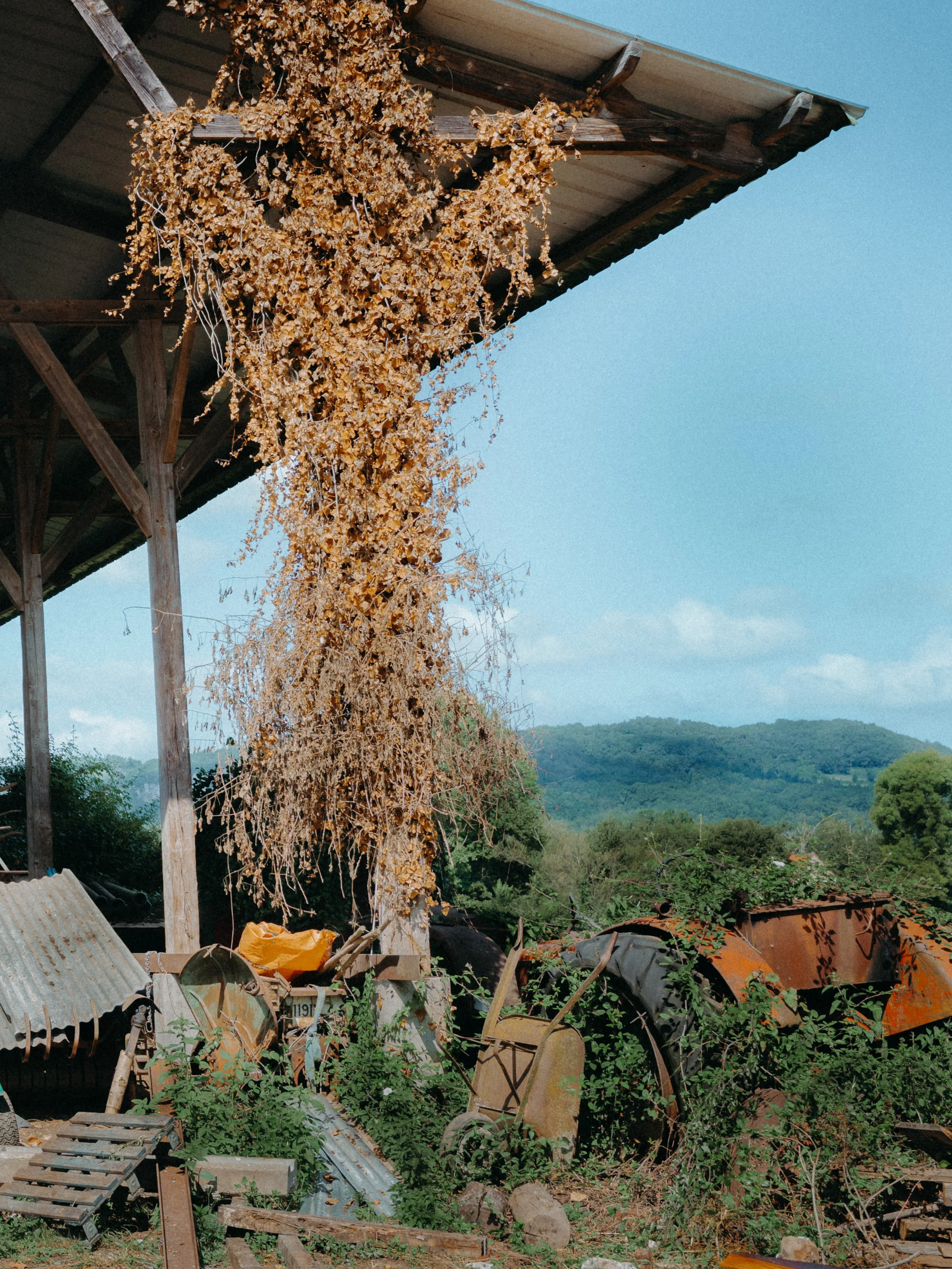 portfolio liminale.jpg