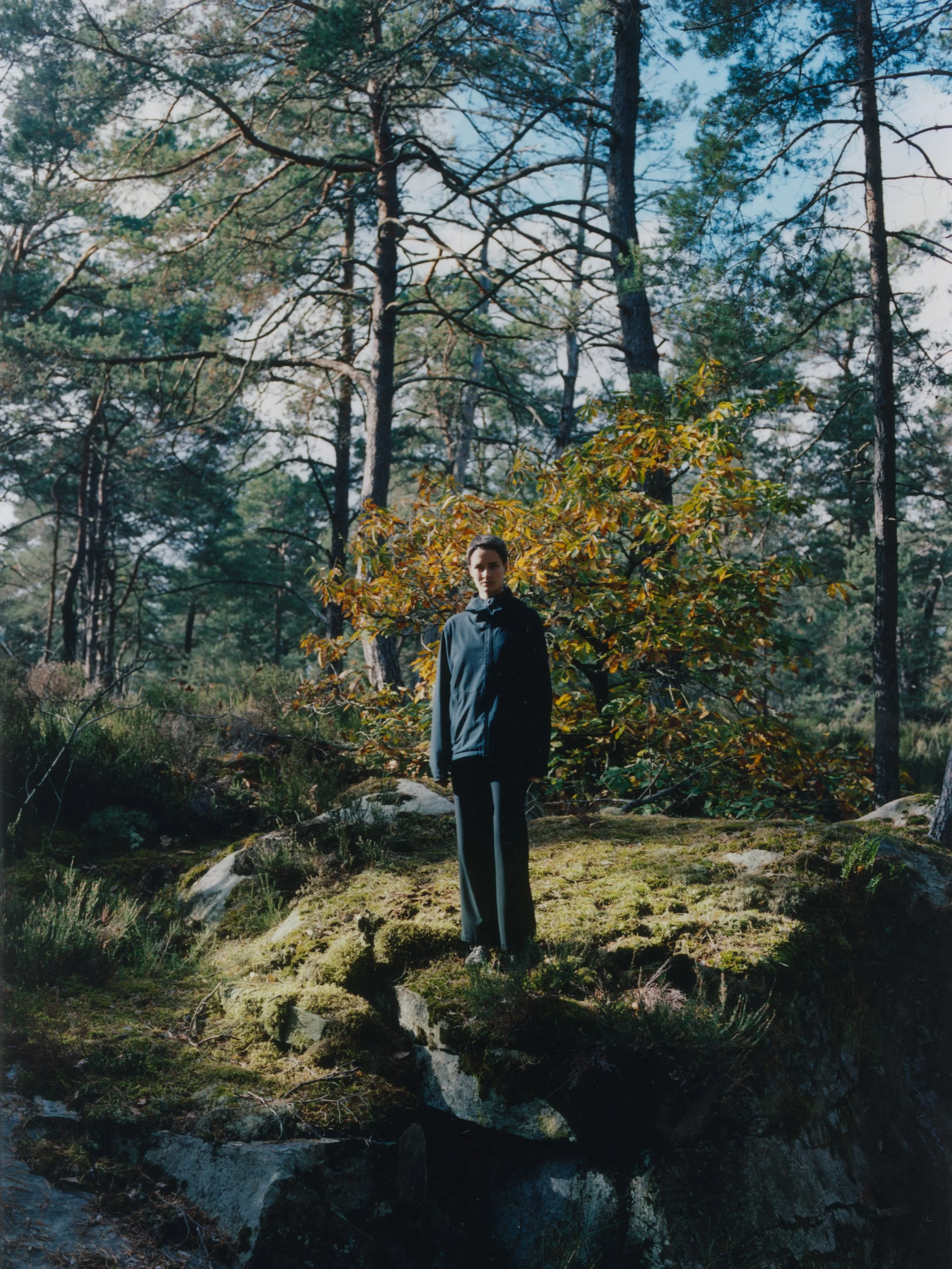 Fontainebleau - Editorial