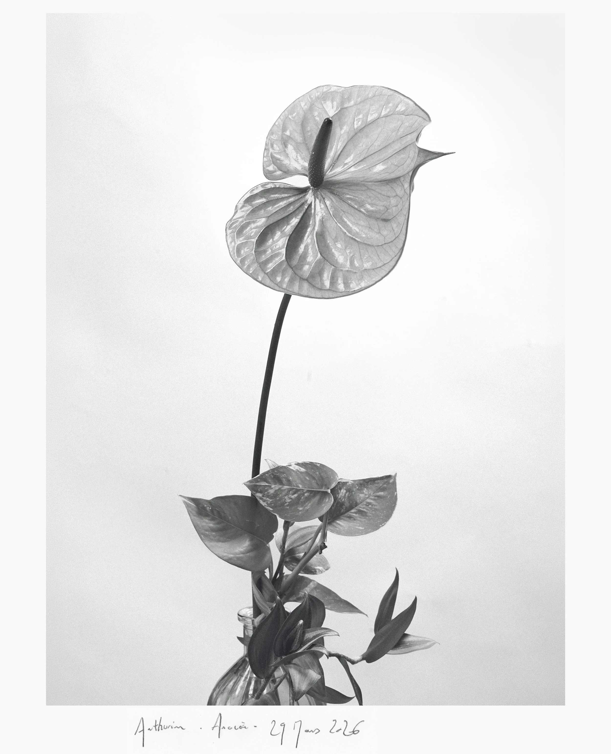 portfolio liminale-6.jpg