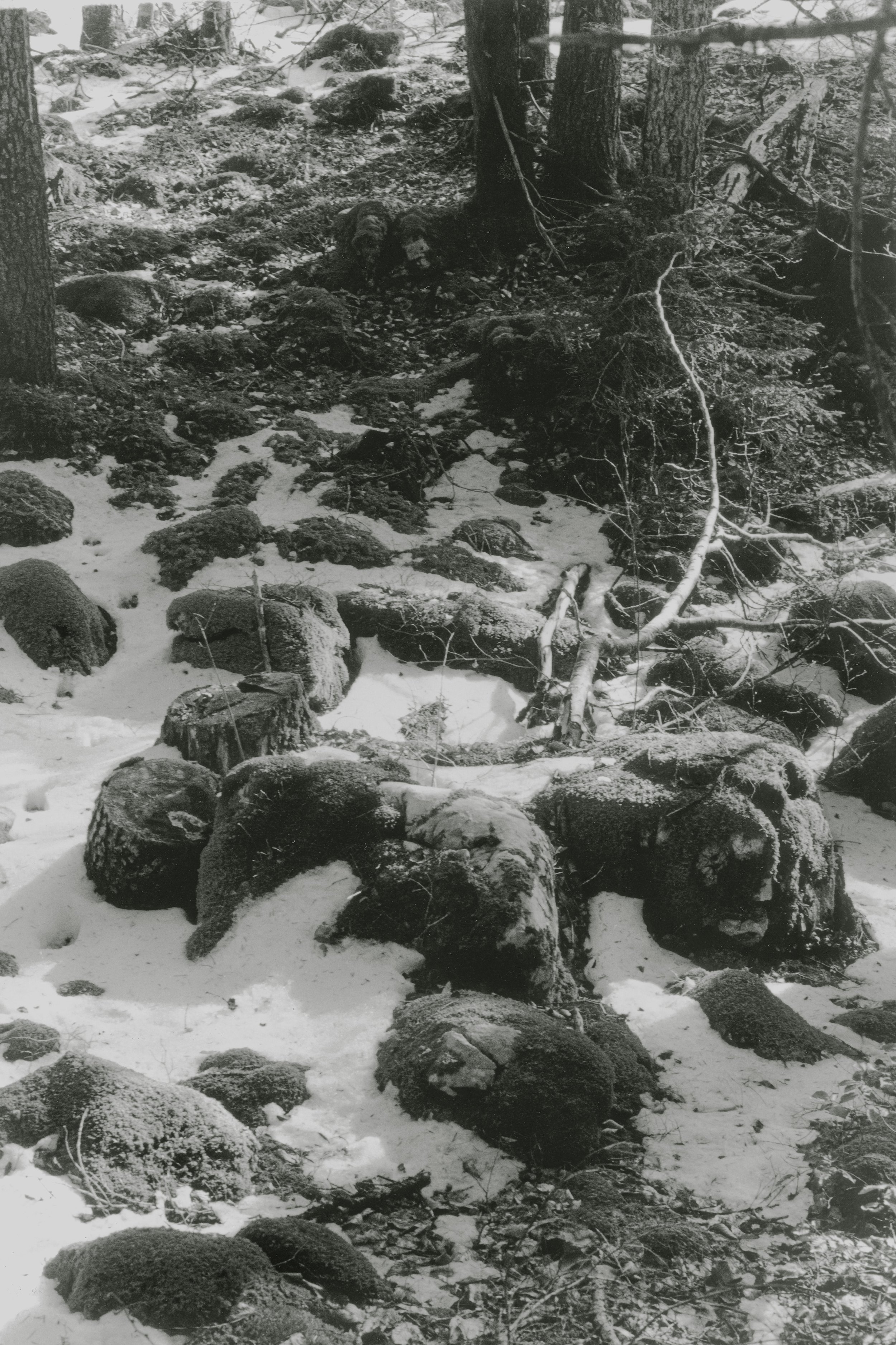 portfolio liminale-15.jpg