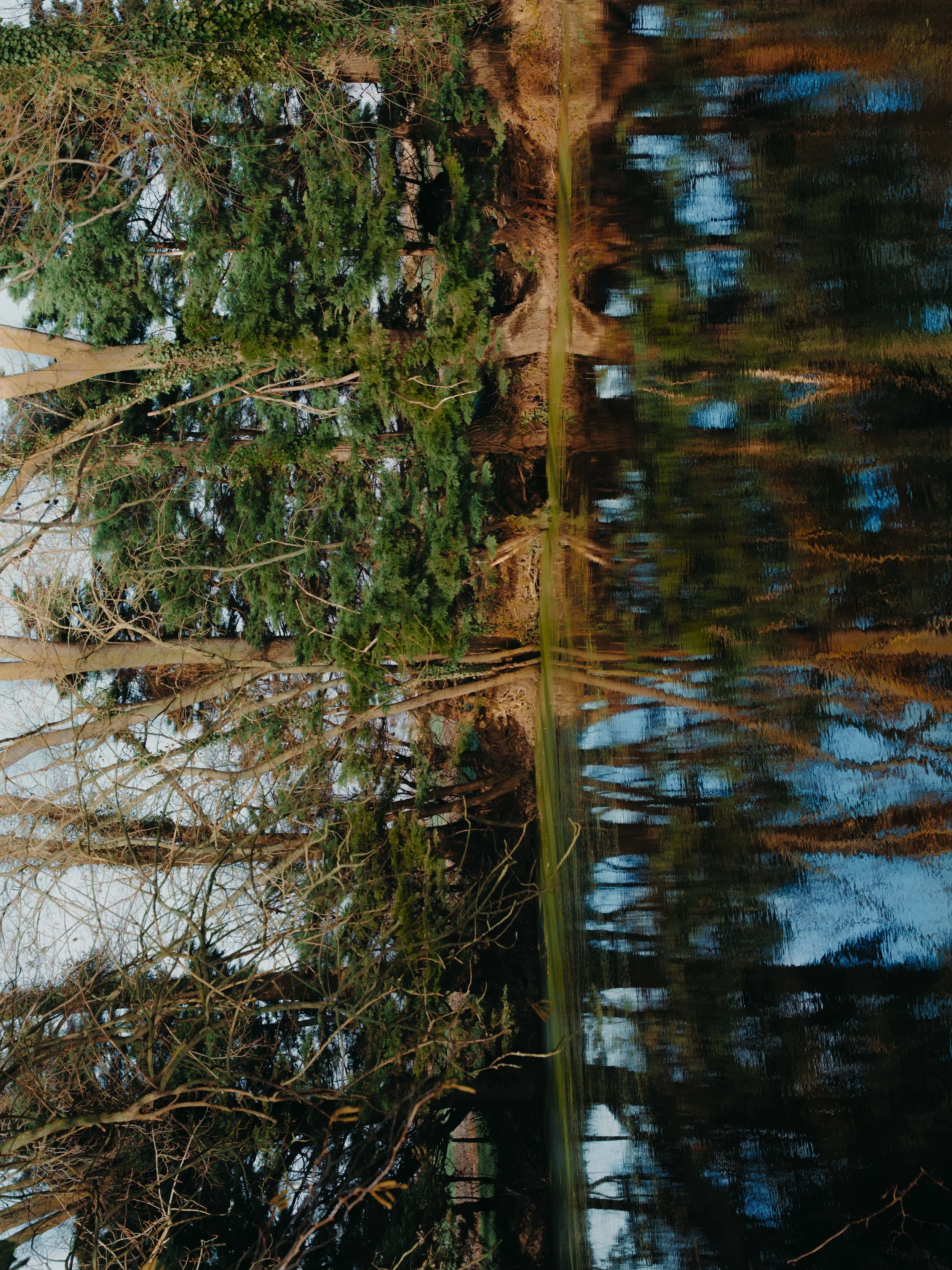 portfolio liminale.jpg