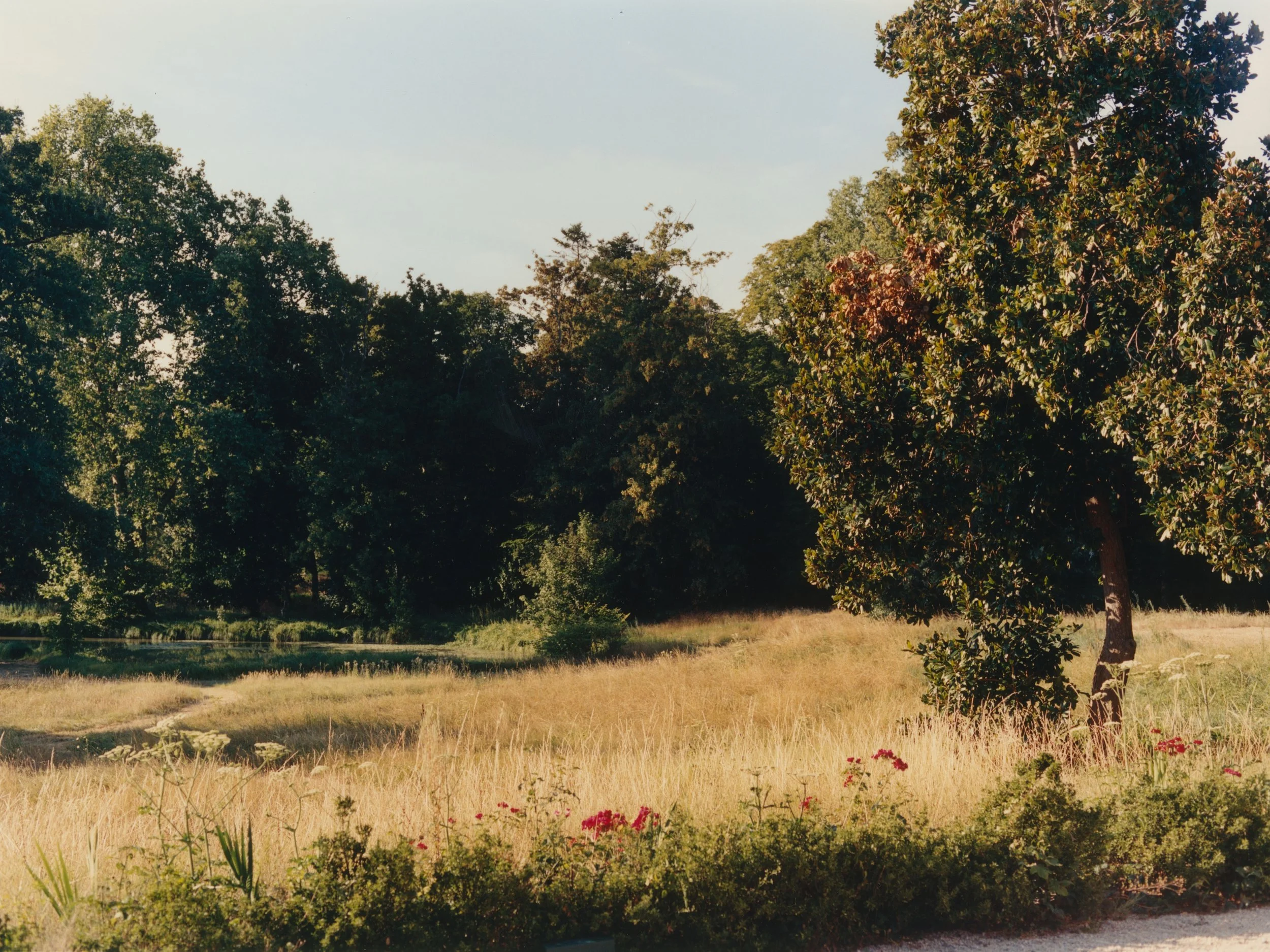 chateau-5.jpg