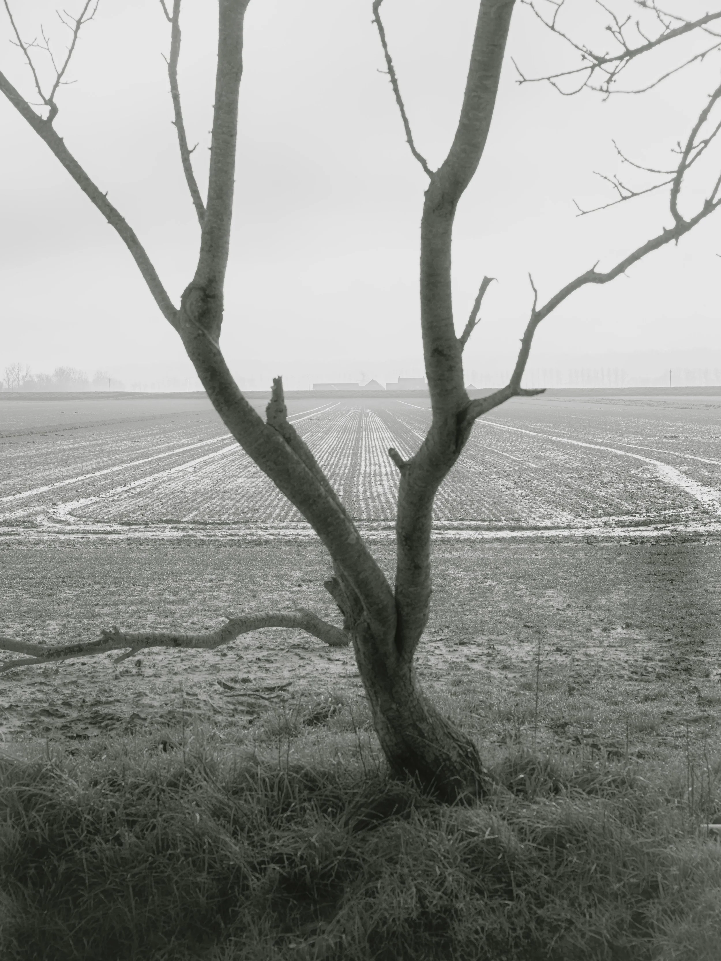 portfolio liminale-2.jpg