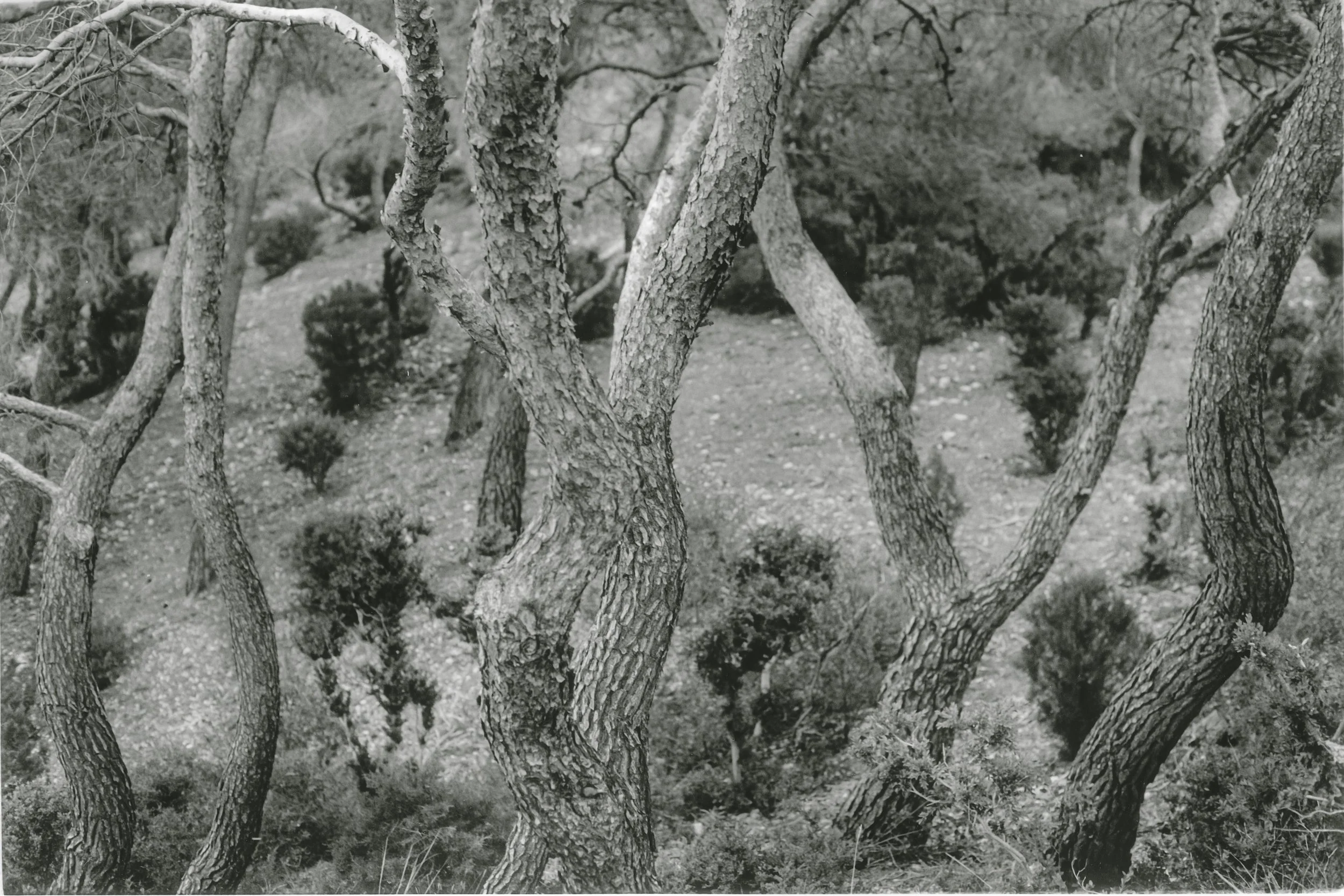 portfolio liminale.jpg