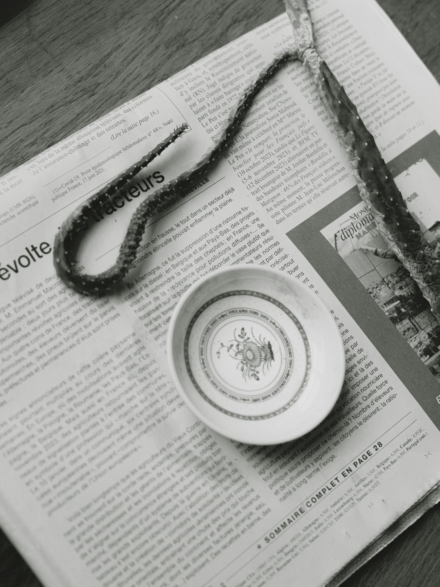 portfolio liminale-14.jpg