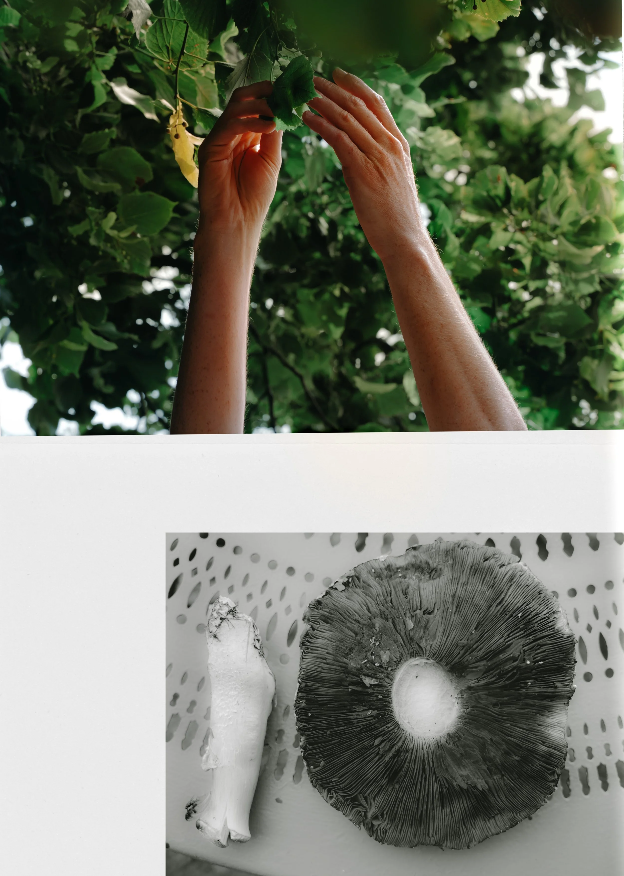 portfolio liminale-12.jpg
