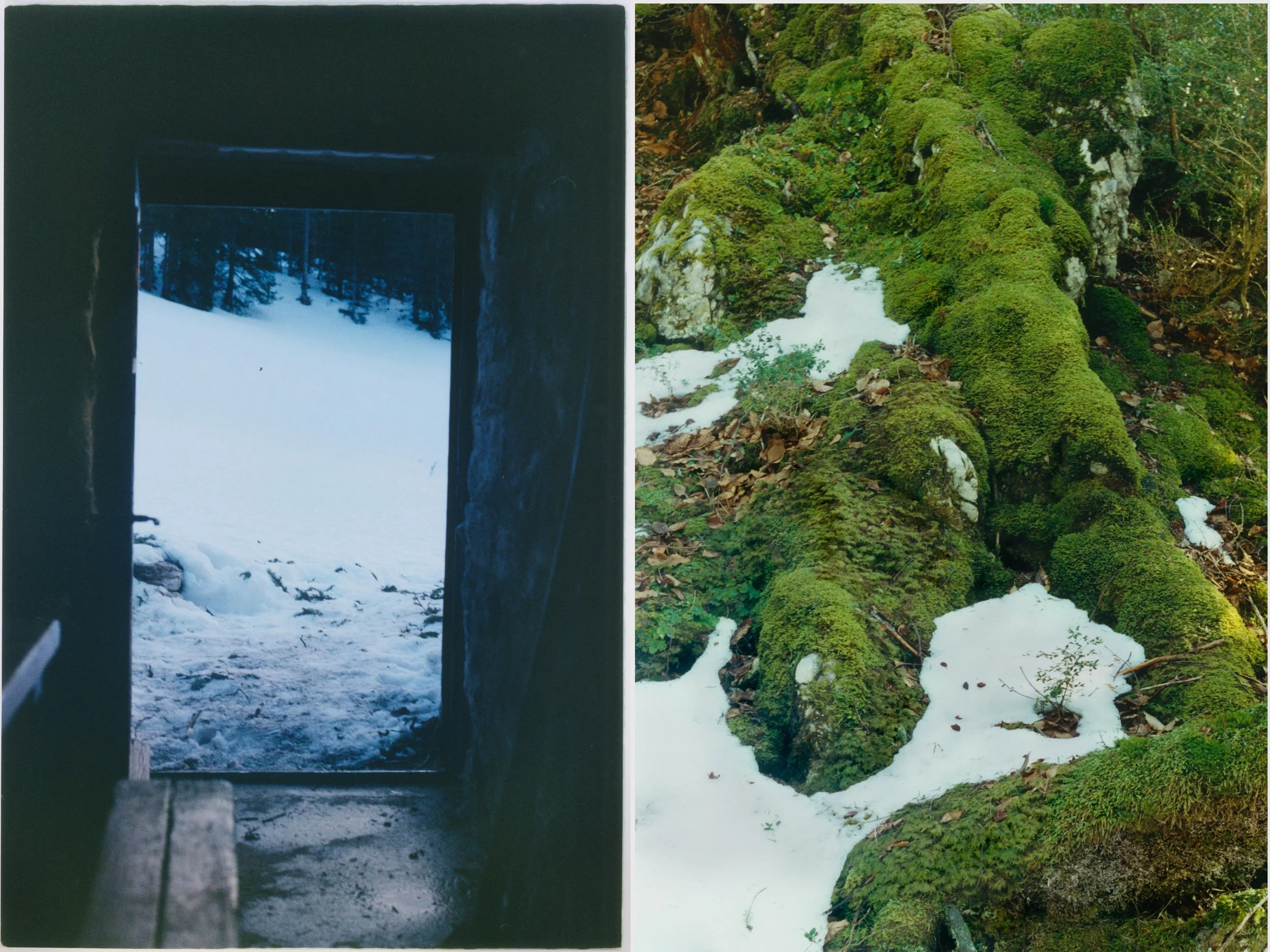 portfolio liminale-14.jpg