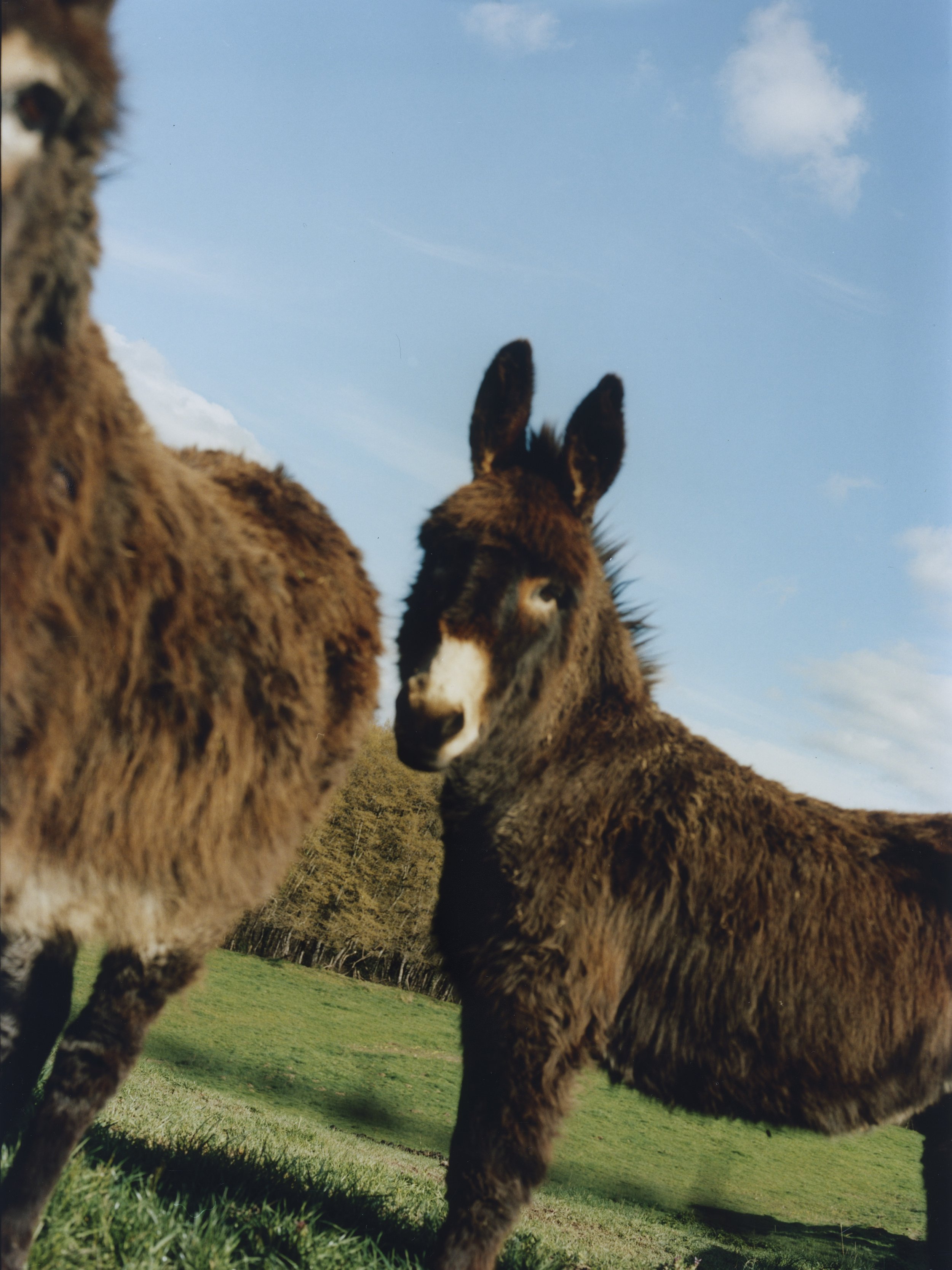 portfolio liminale-7.jpg