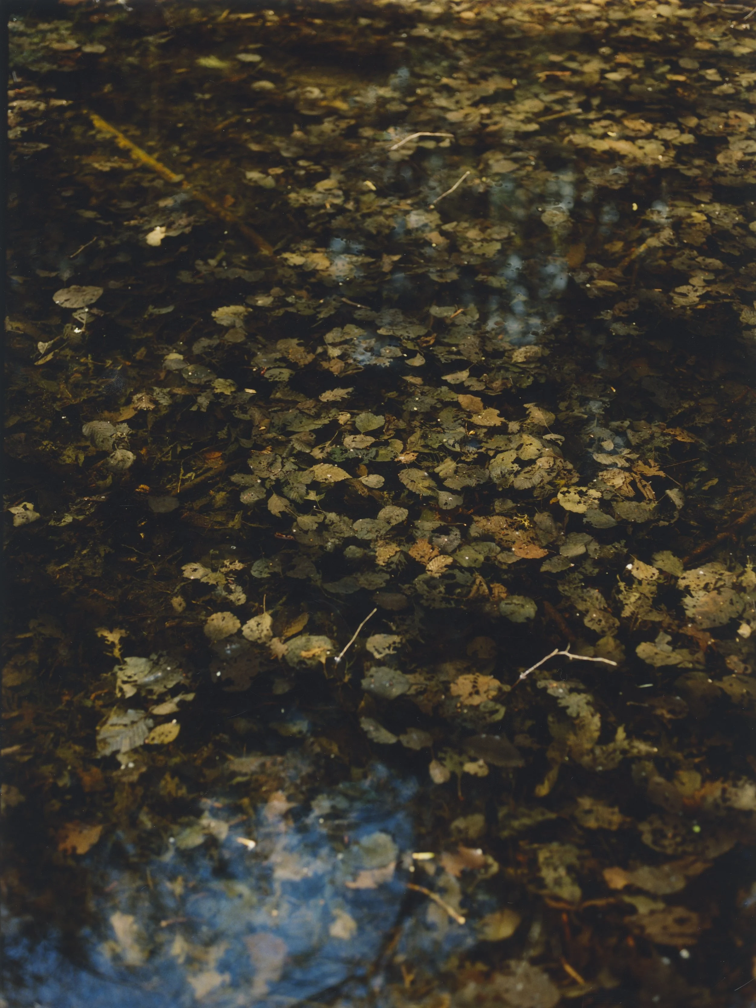 portfolio liminale-9.jpg