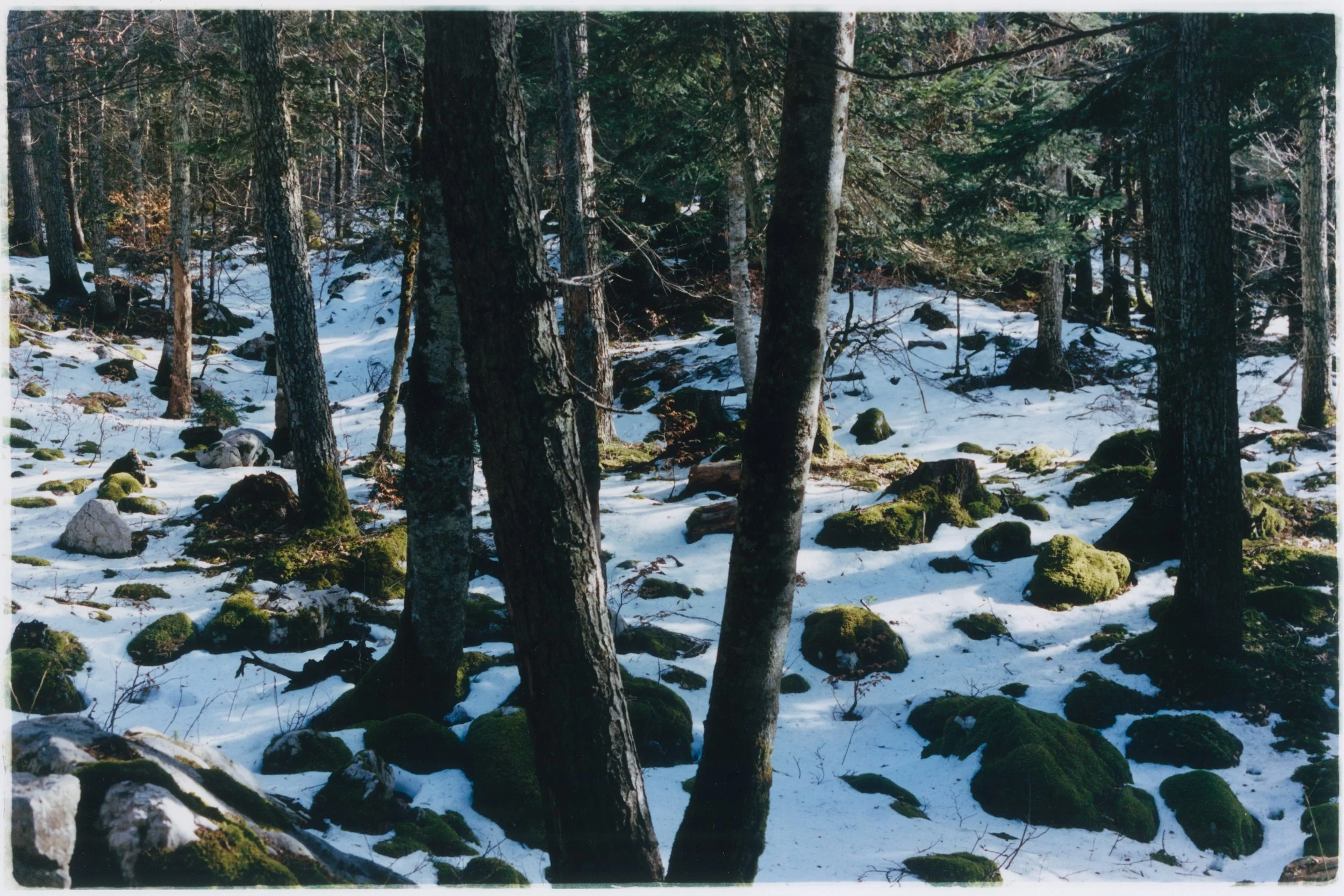 portfolio liminale-6.jpg