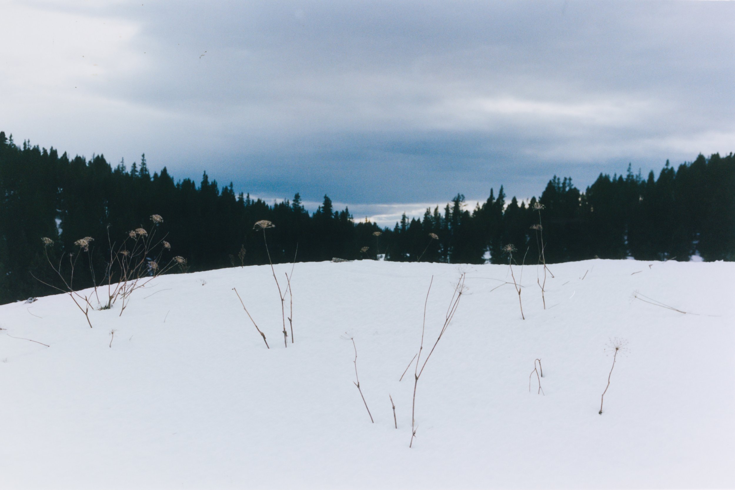 portfolio liminale-5.jpg