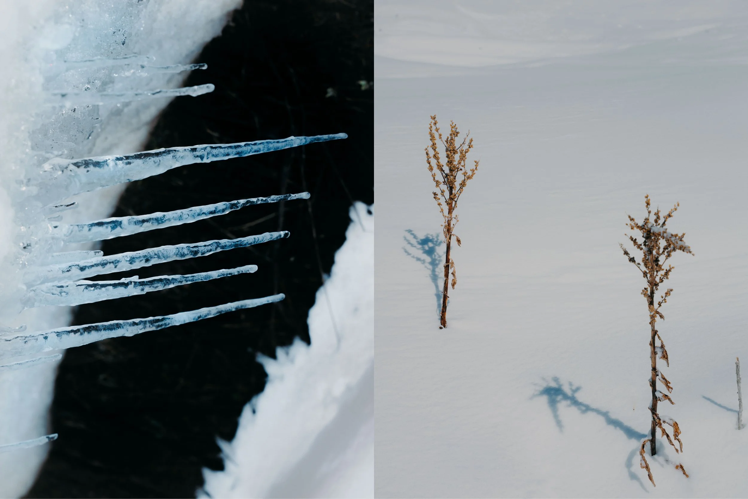 portfolio liminale-3.jpg