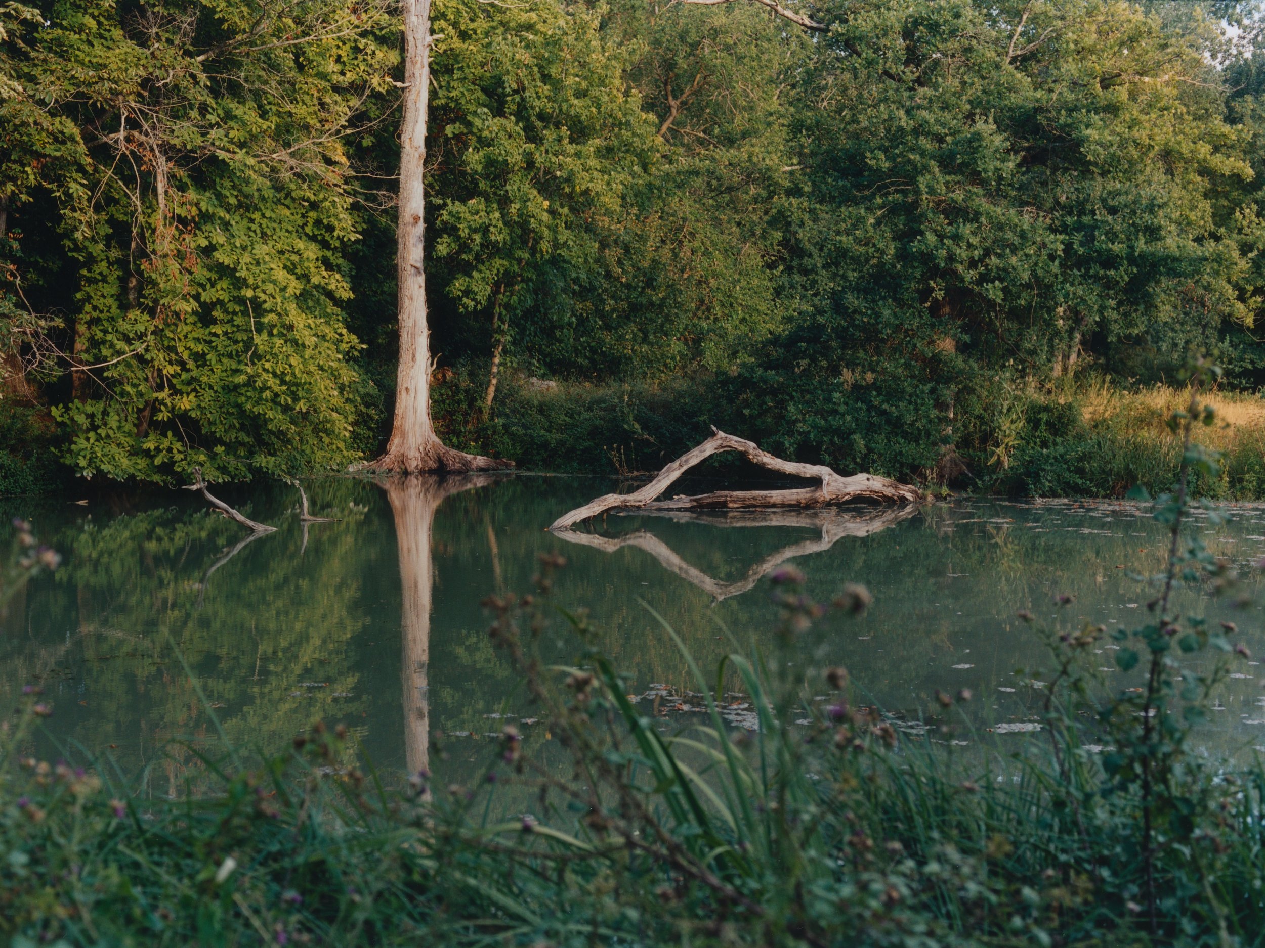 chateau-10.jpg