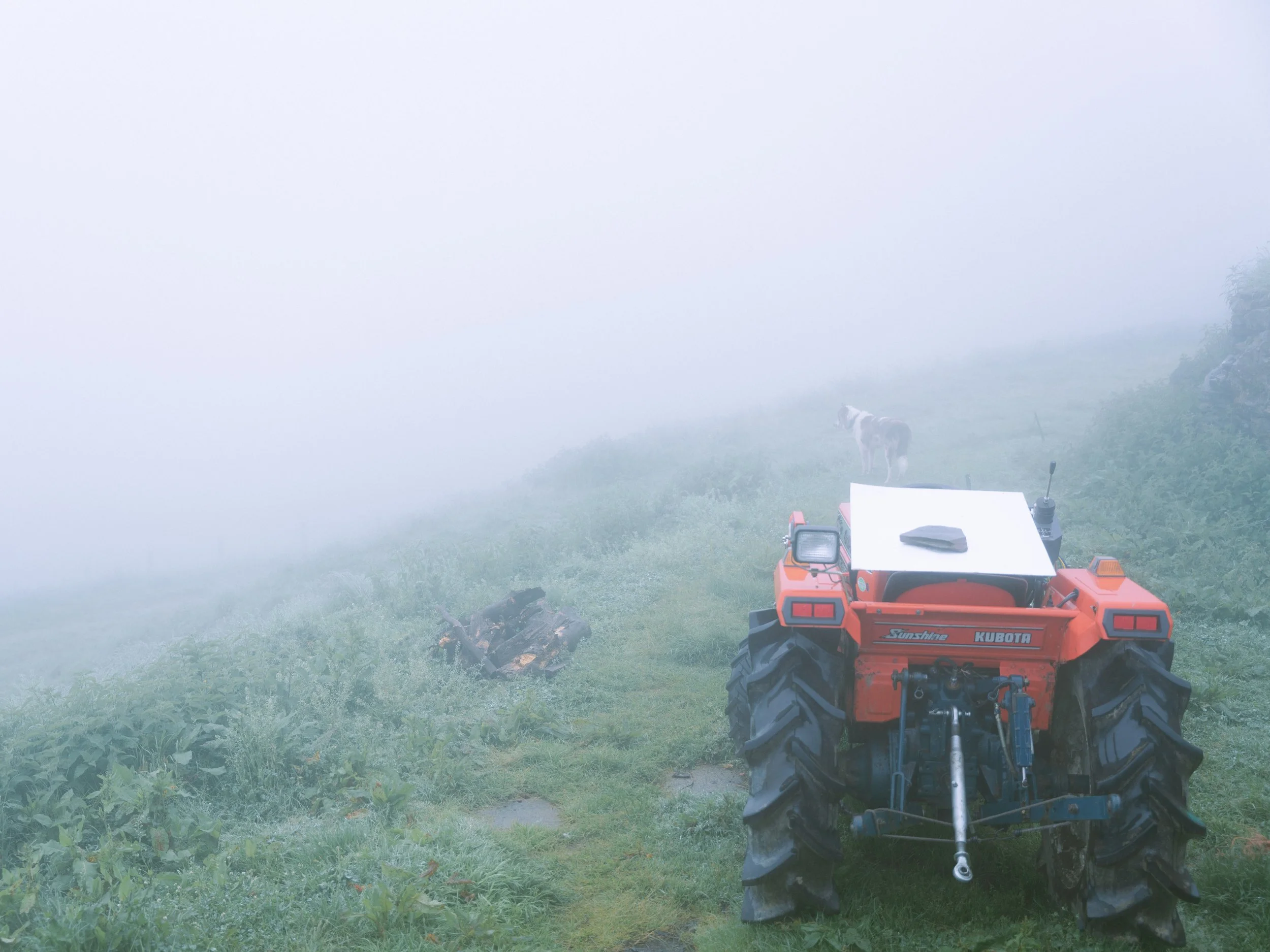 portfolio liminale.jpg