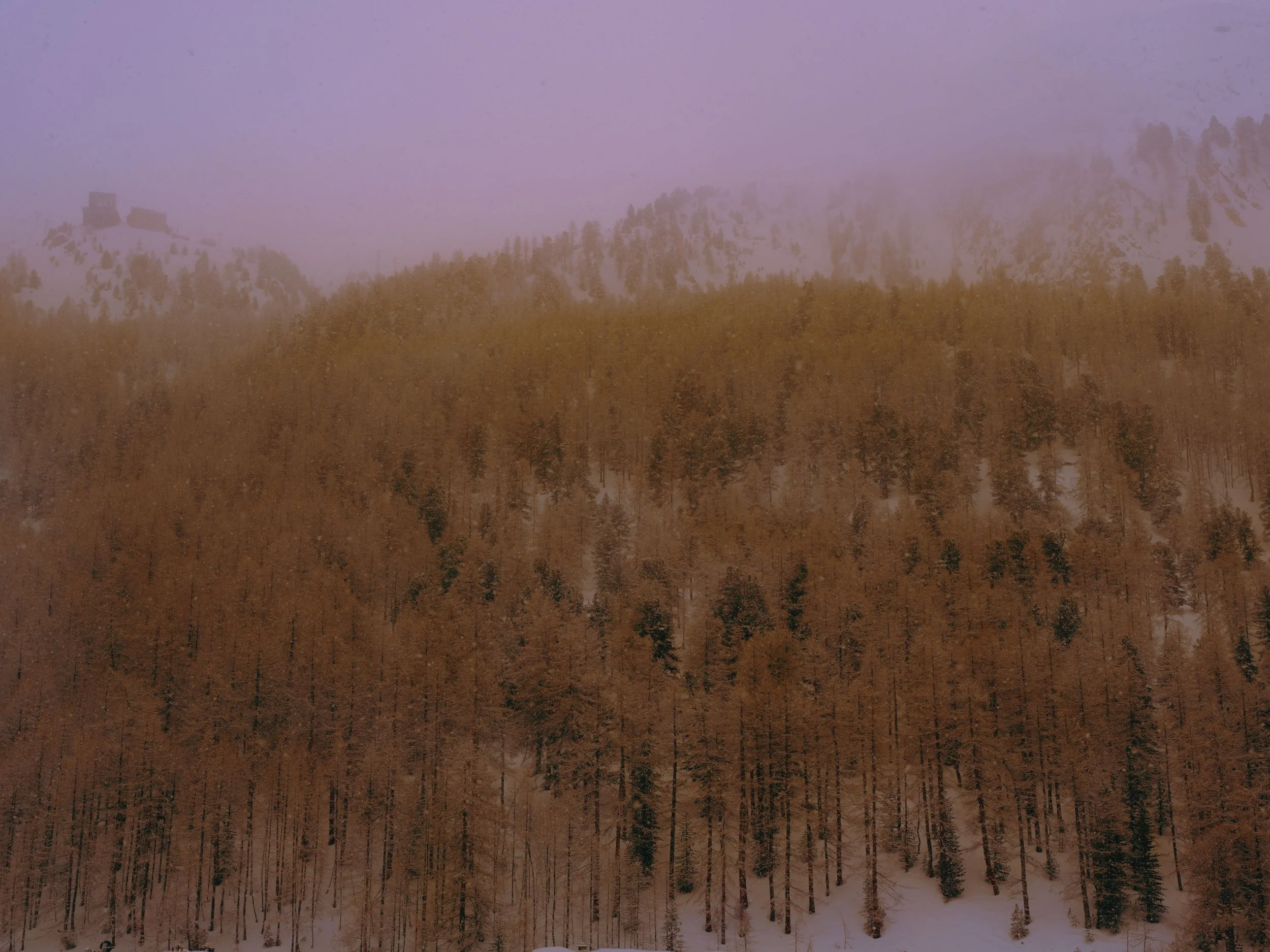 portfolio liminale.jpg